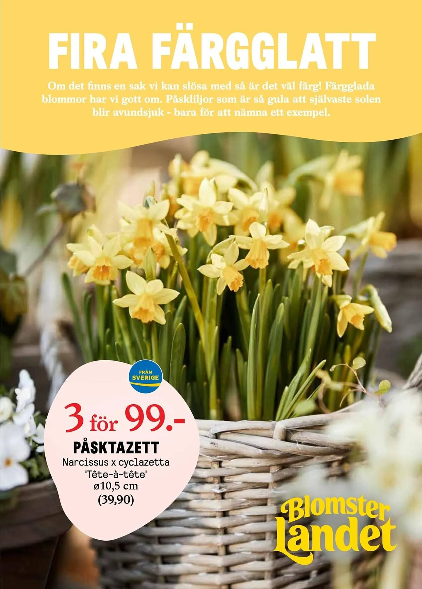 Blomsterlandet reklamblad från 31 mars till 6 april 2025 - Reklamblad sidor 1