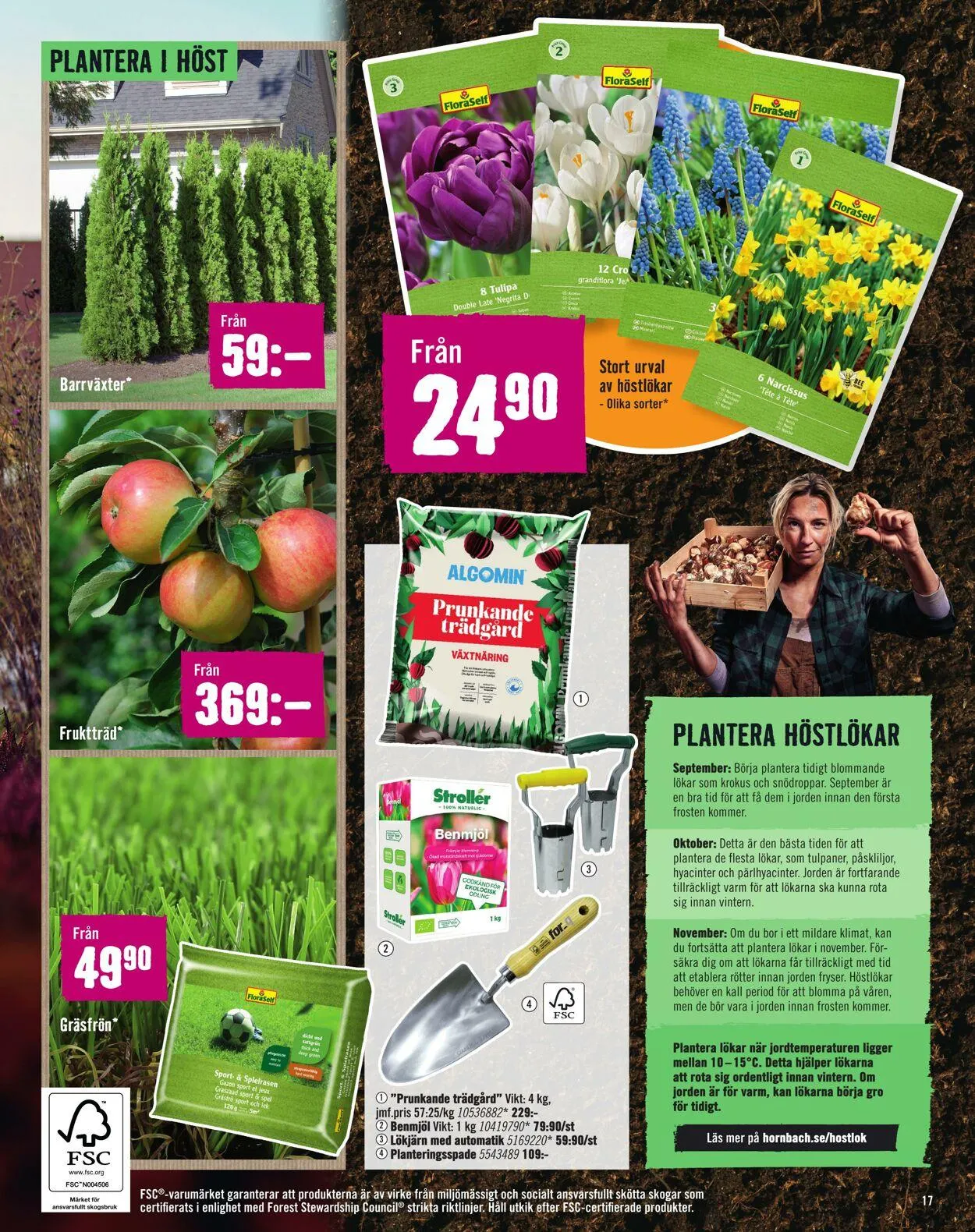 Hornbach från 1 juli till 31 juli 2025 - Reklamblad sidor 17