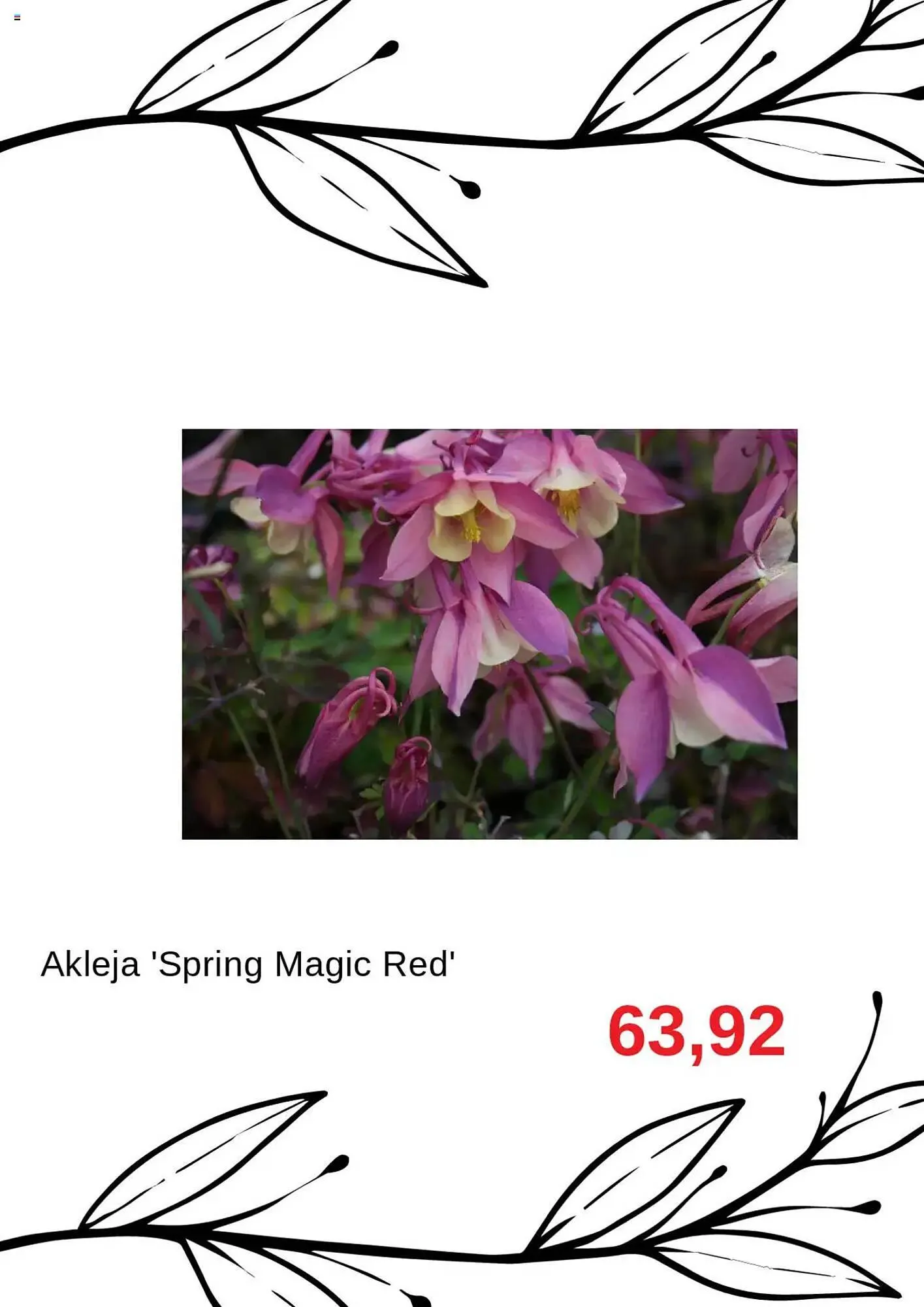 Blomsterlandet reklamblad från 23 juli till 6 augusti 2025 - Reklamblad sidor 5