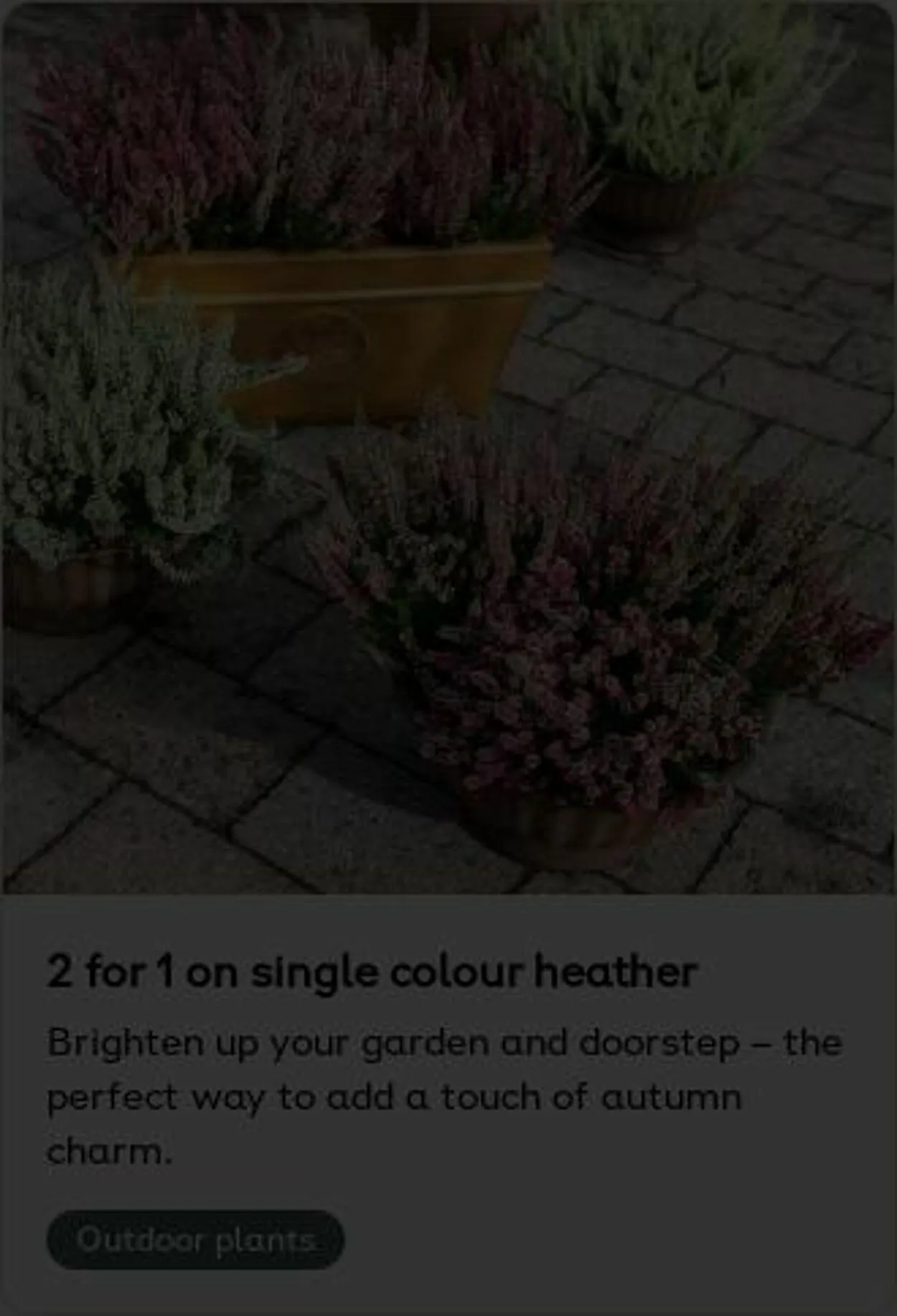 Plantagen från 6 oktober till 15 oktober 2025 - Reklamblad sidor 2