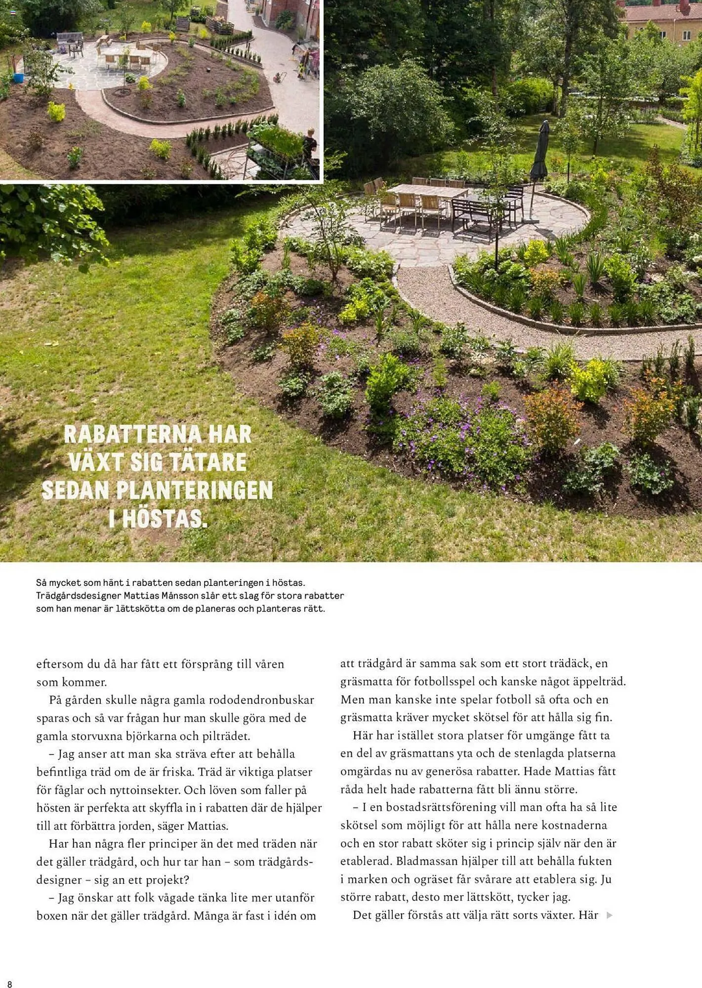 Blomsterlandet reklamblad från 25 september till 1 oktober 2023 - Reklamblad sidor 8