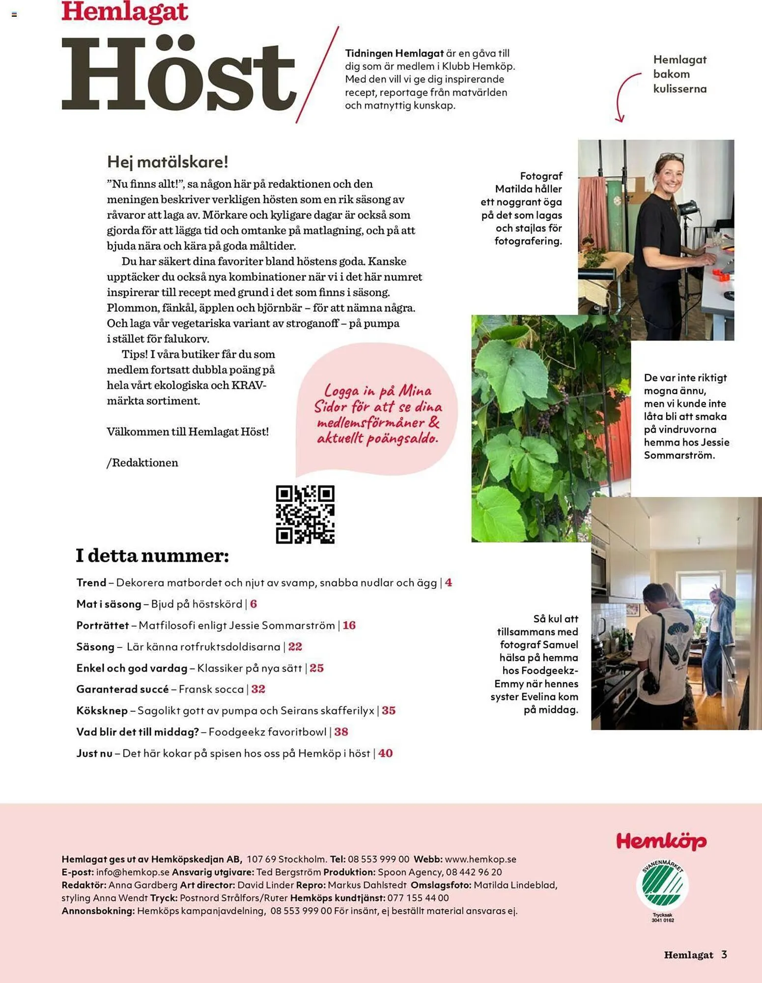 Hemköp reklamblad från 21 oktober till 31 december 2024 - Reklamblad sidor 3