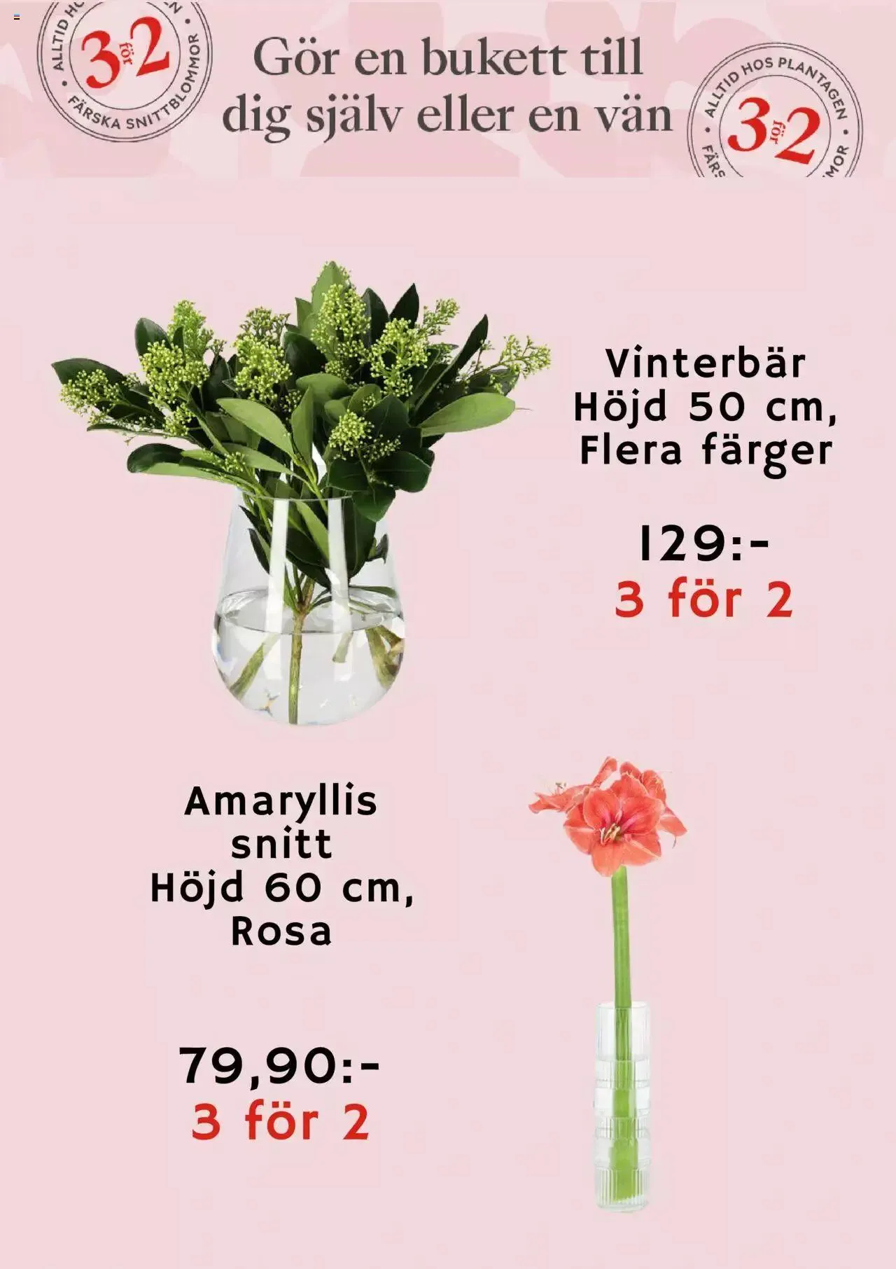 Plantagen - erbjudanden från 27 december till 4 januari 2024 - Reklamblad sidor 3