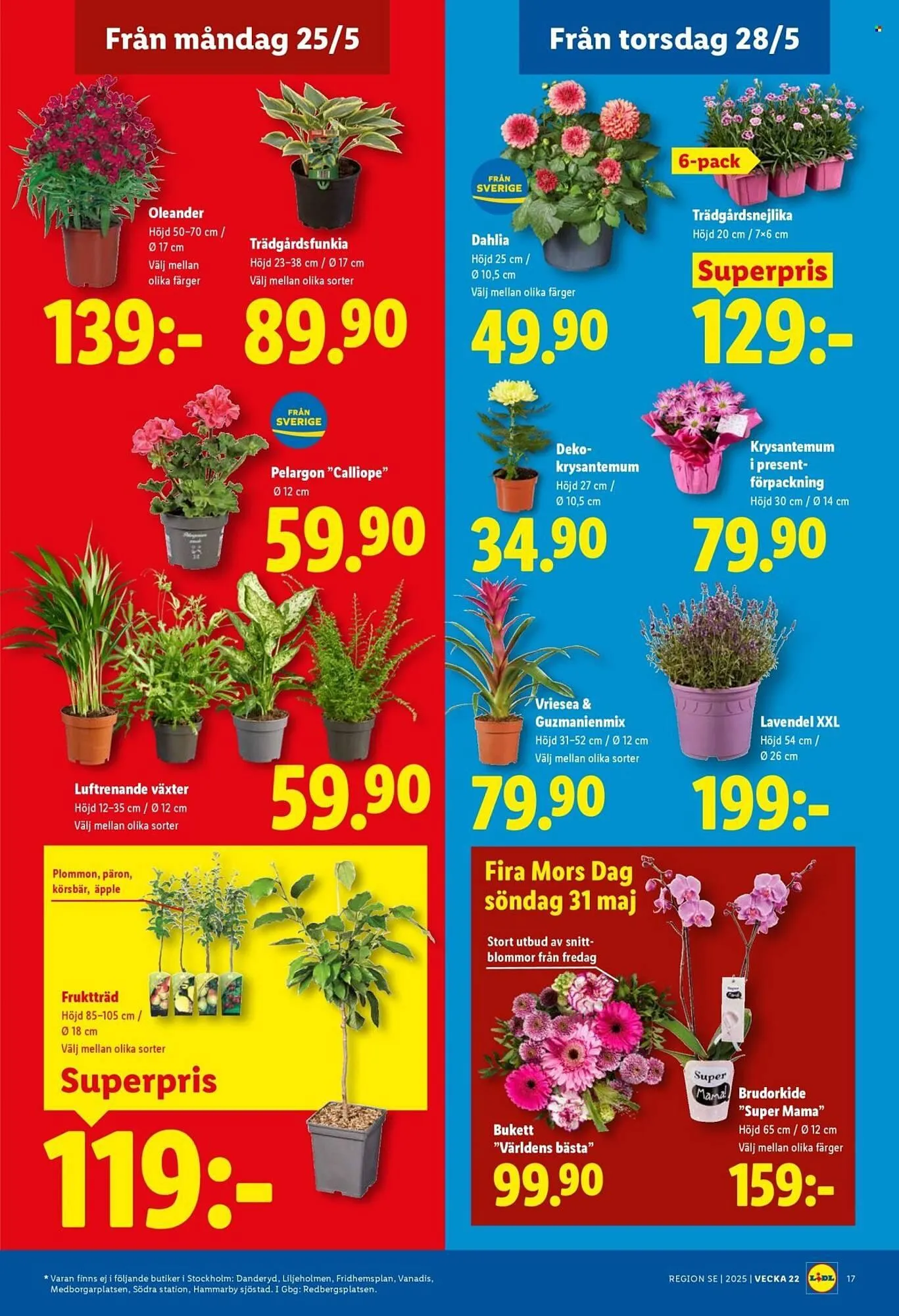 Lidl reklamblad från 25 maj till 31 maj 2026 - Reklamblad sidor 20