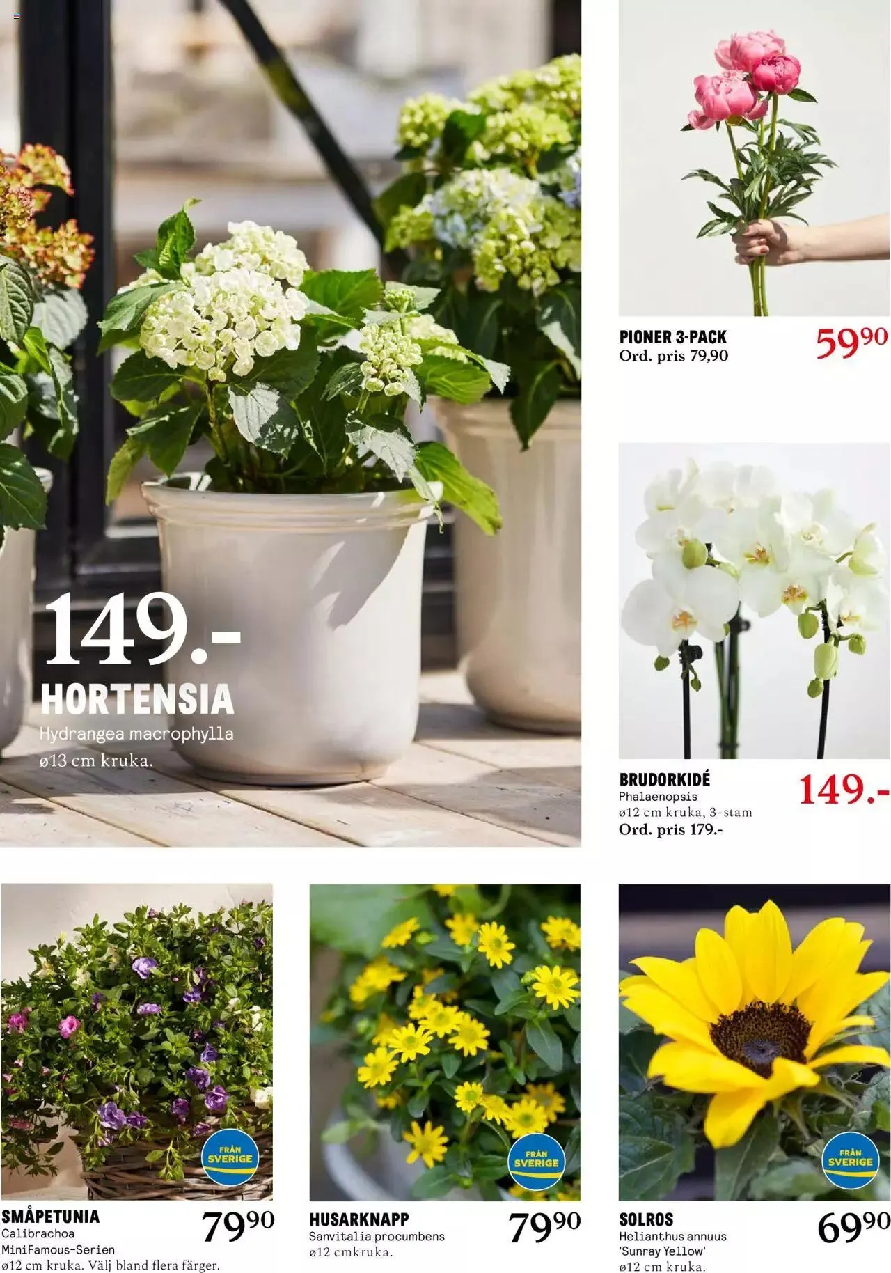 Blomsterlandet - erbjudanden från 27 maj till 2 juni 2024 - Reklamblad sidor 3