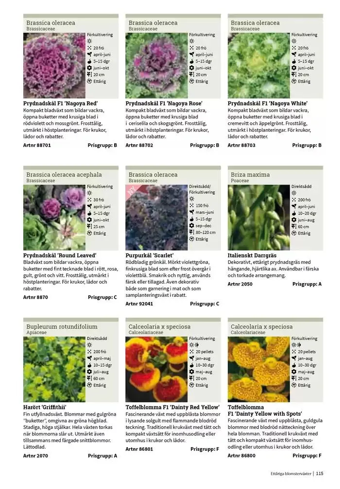 Frökatalog 2025! från 23 januari till 31 december 2025 - Reklamblad sidor 115