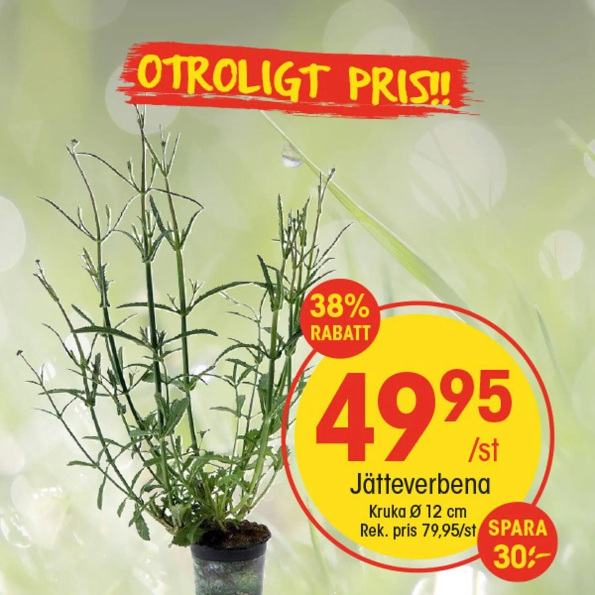 EKO reklamblad från 11 maj till 17 maj 2025 - Reklamblad sidor 4