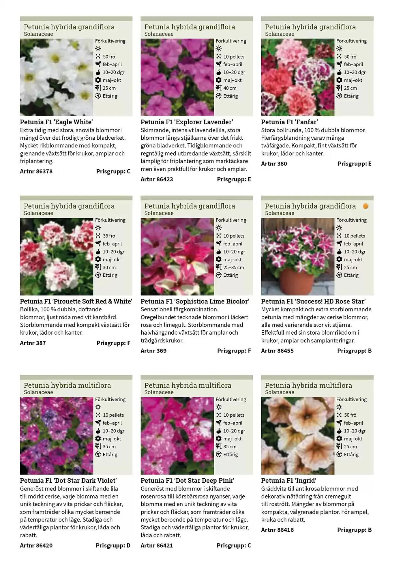 Impecta reklamblad från 23 januari till 31 december 2025 - Reklamblad sidor 176