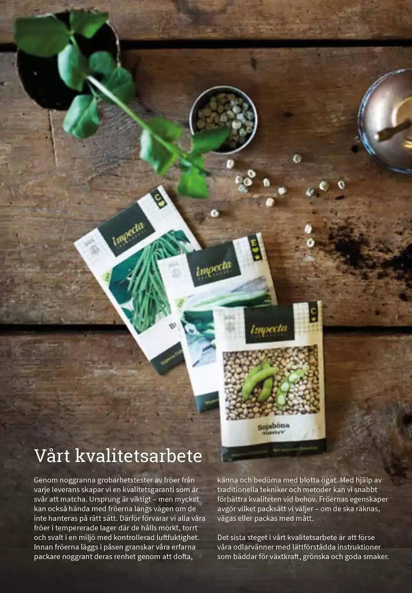 Impecta reklamblad från 23 januari till 31 december 2025 - Reklamblad sidor 7