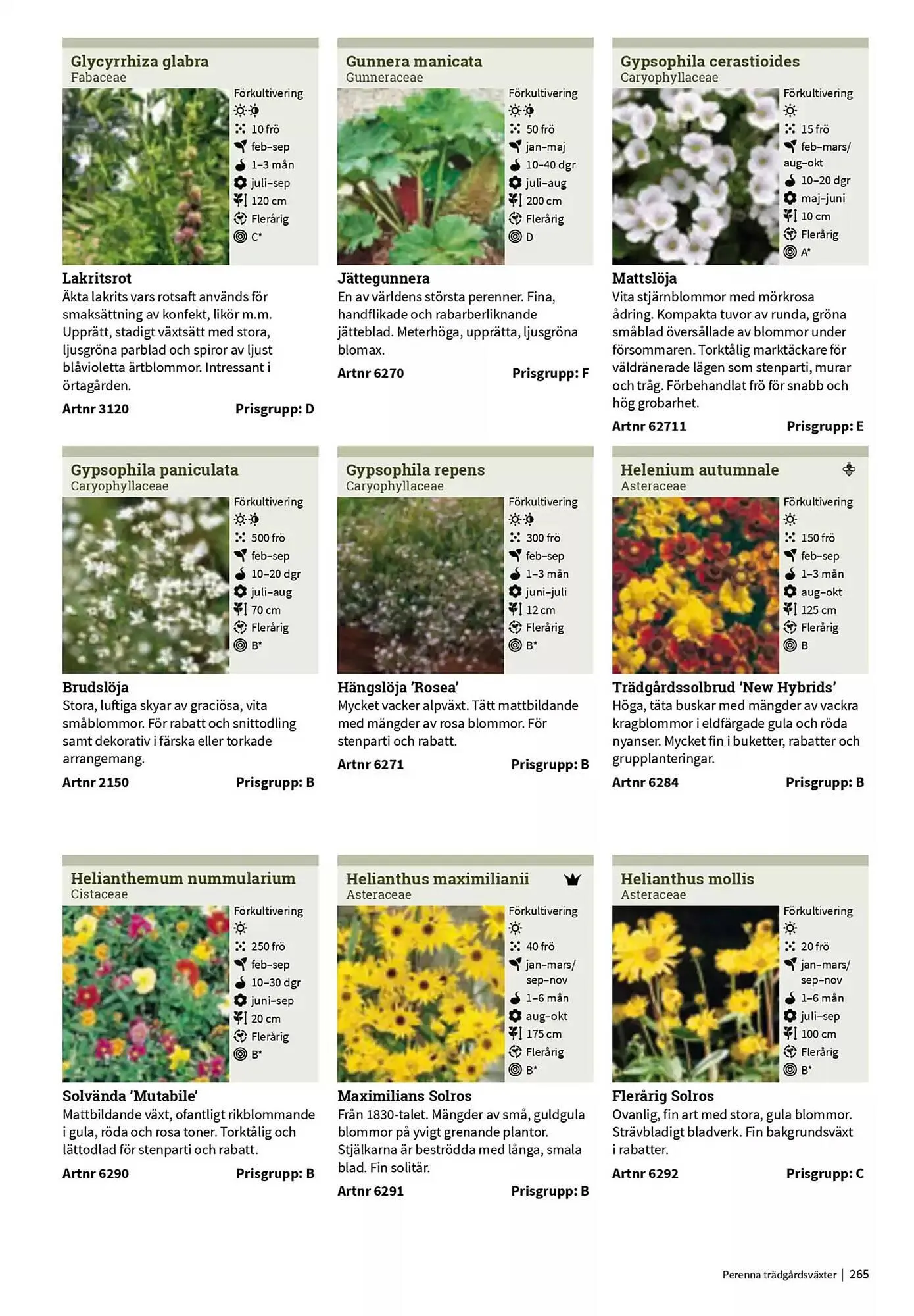 Impecta reklamblad från 23 januari till 31 december 2025 - Reklamblad sidor 265