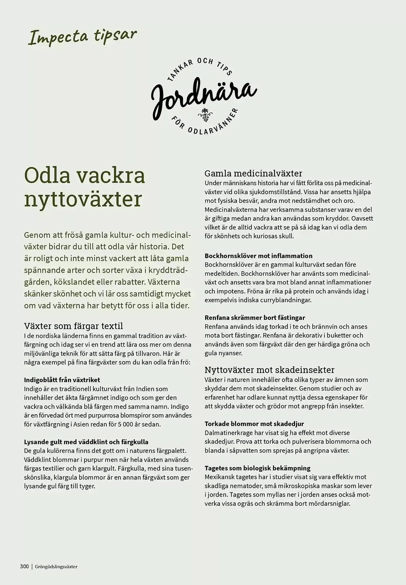 Impecta reklamblad från 23 januari till 31 december 2025 - Reklamblad sidor 300