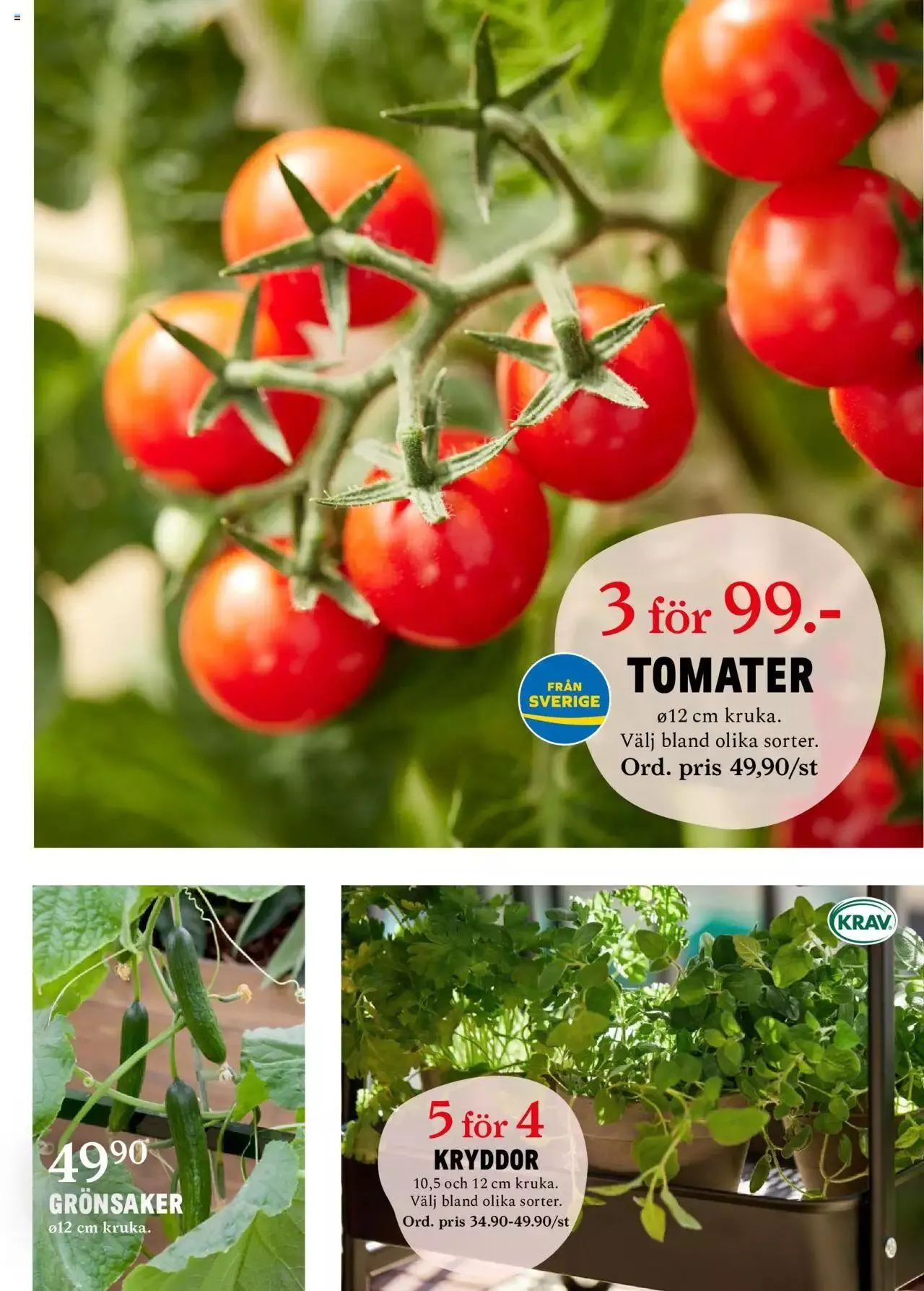 Blomsterlandet - erbjudanden från 27 maj till 2 juni 2024 - Reklamblad sidor 4