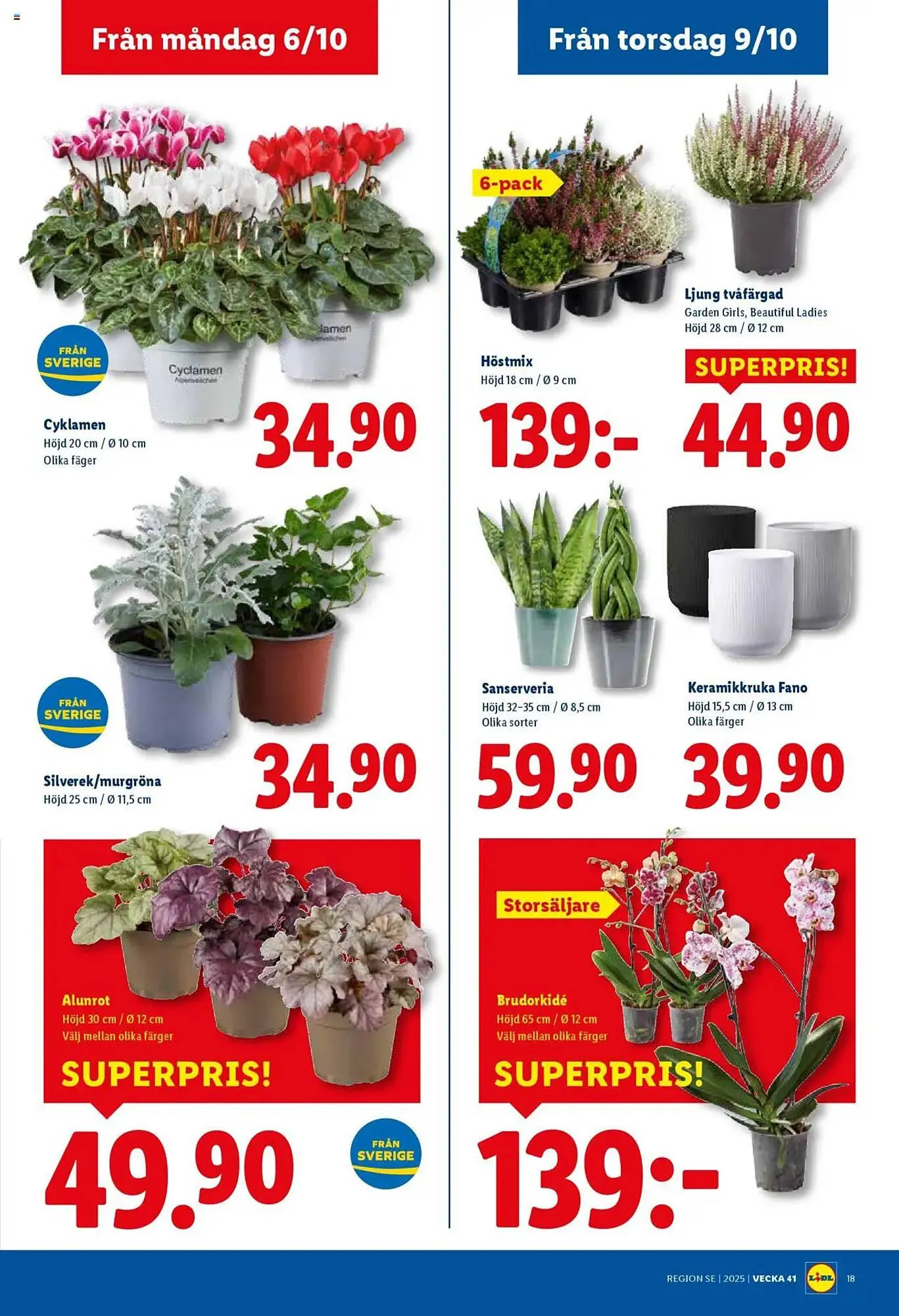 Lidl reklamblad från 6 oktober till 12 oktober 2025 - Reklamblad sidor 20