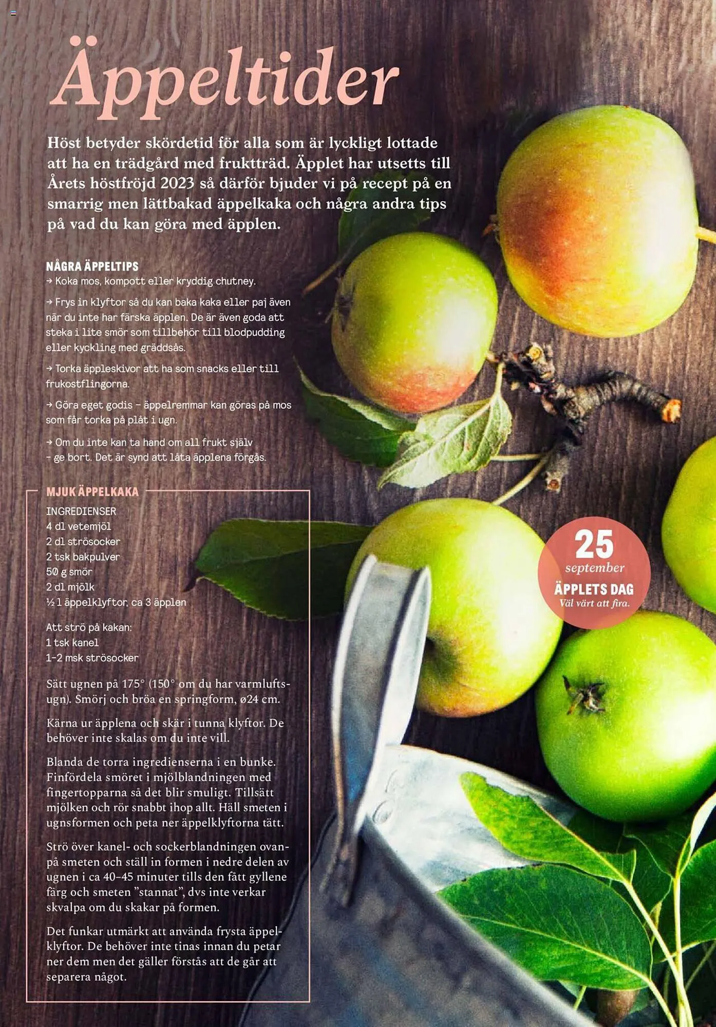 Blomsterlandet reklamblad från 25 september till 1 oktober 2023 - Reklamblad sidor 21
