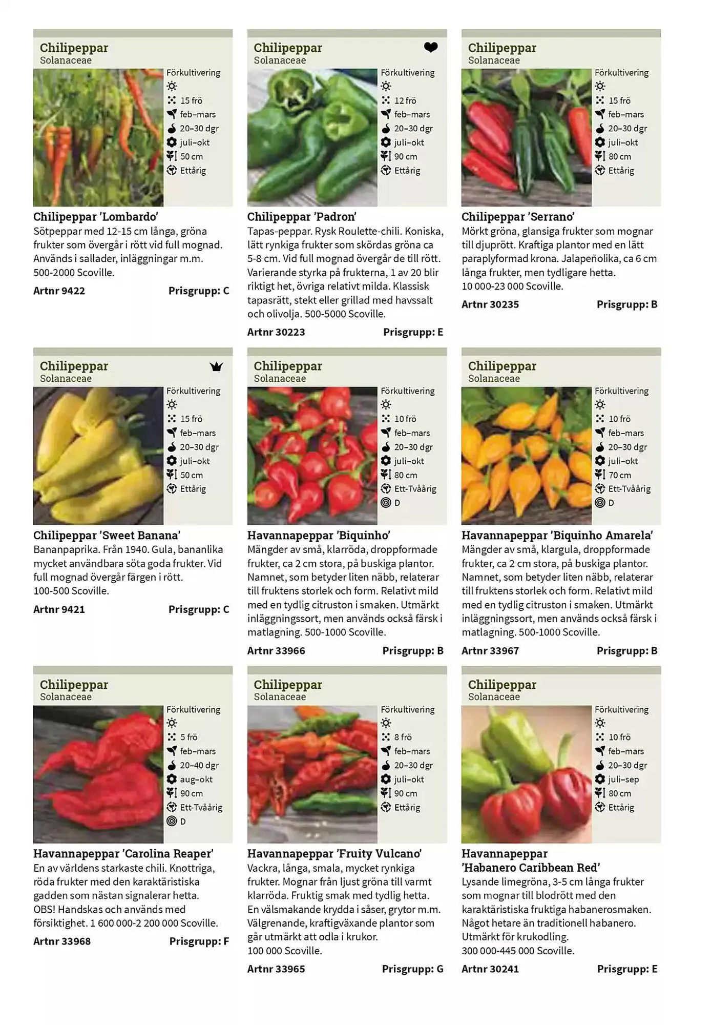 Impecta reklamblad från 23 januari till 31 december 2025 - Reklamblad sidor 20