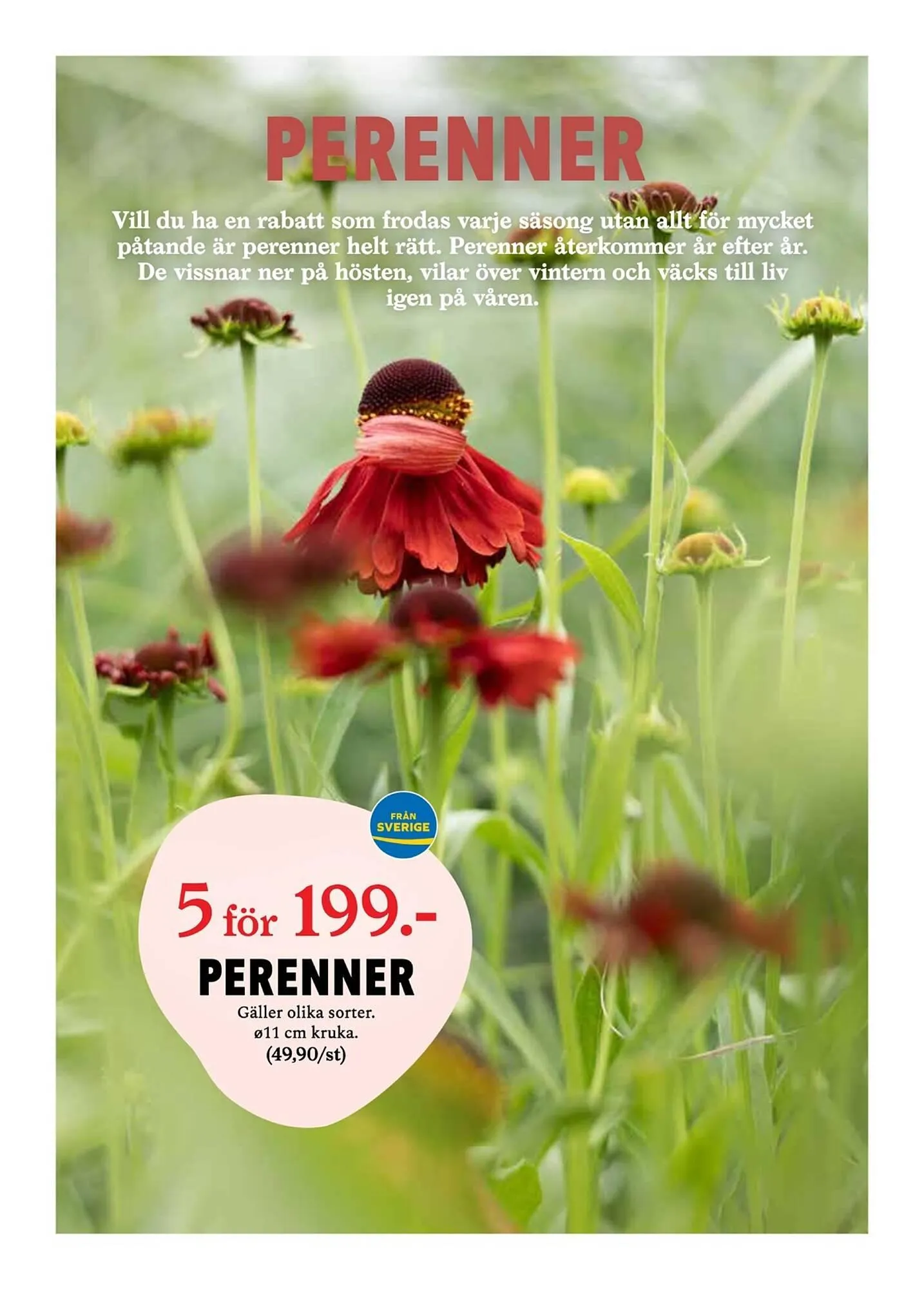 Blomsterlandet reklamblad från 31 mars till 6 april 2025 - Reklamblad sidor 5