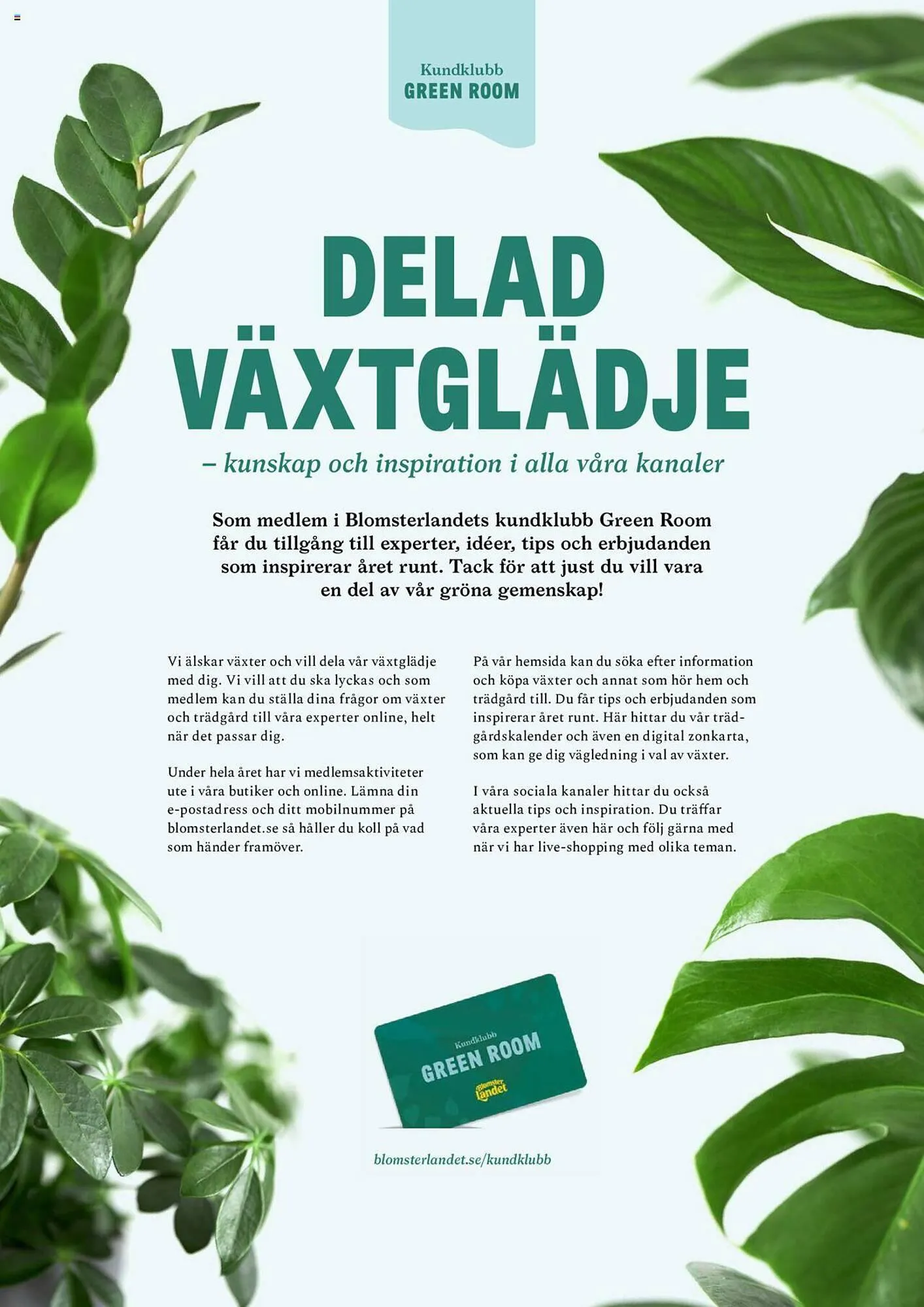 Blomsterlandet reklamblad från 25 september till 1 oktober 2023 - Reklamblad sidor 14
