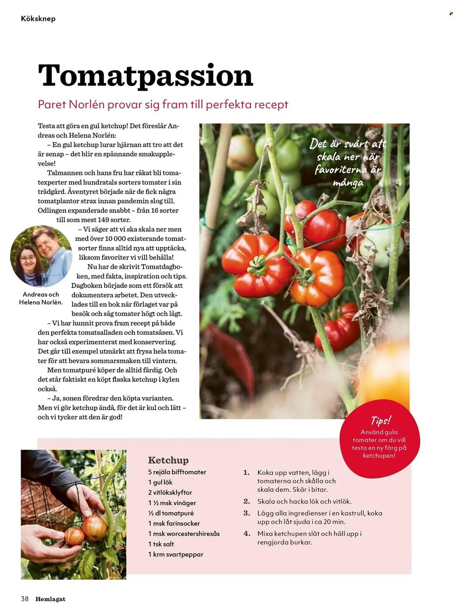 Hemköp reklamblad från 1 juli till 30 september 2025 - Reklamblad sidor 38