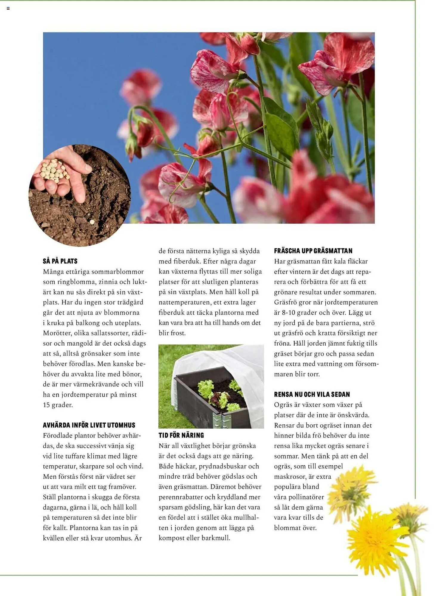 Blomsterlandet reklamblad från 13 maj till 26 maj 2024 - Reklamblad sidor 9