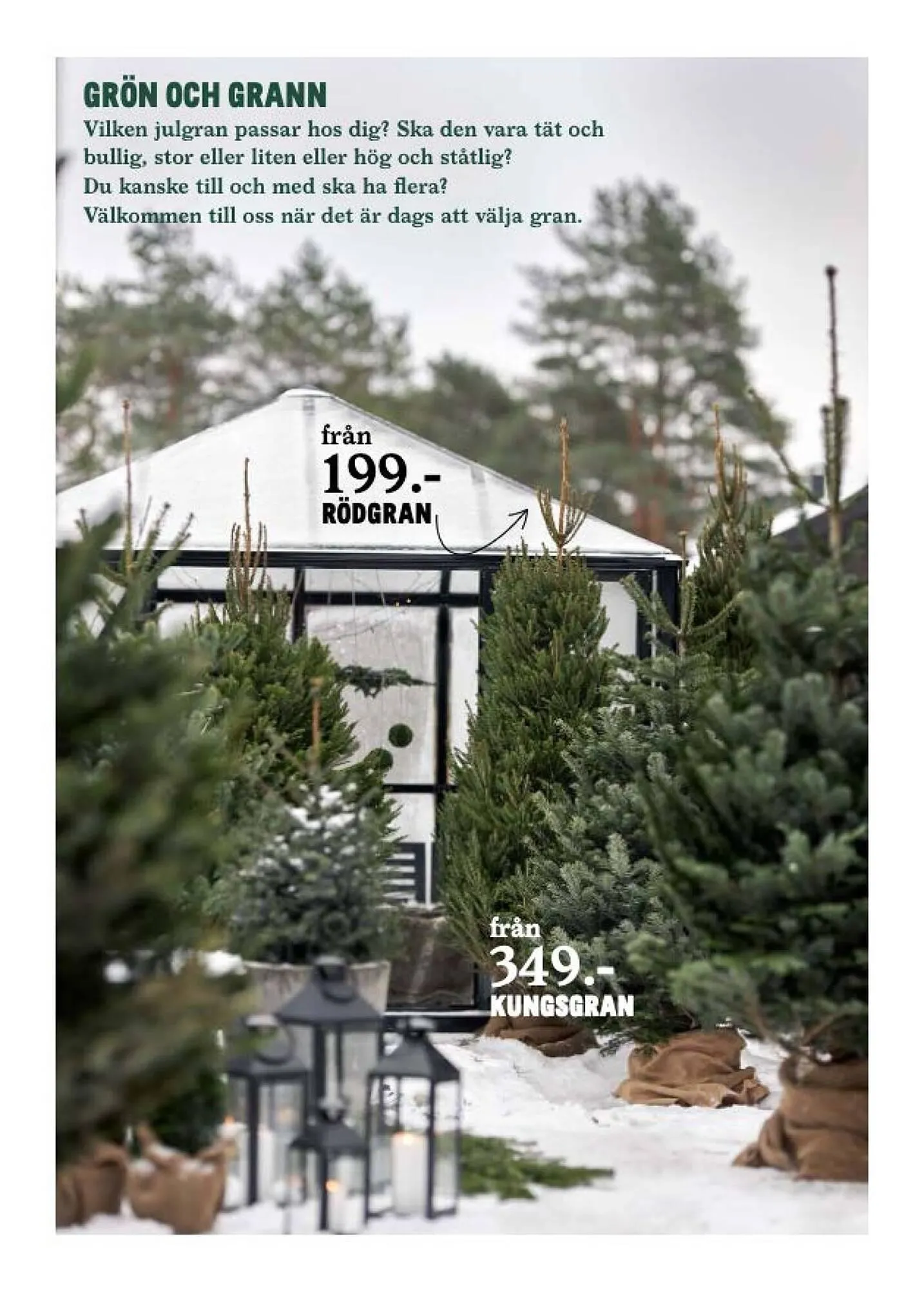 Blomsterlandet reklamblad från 4 december till 10 december 2023 - Reklamblad sidor 3