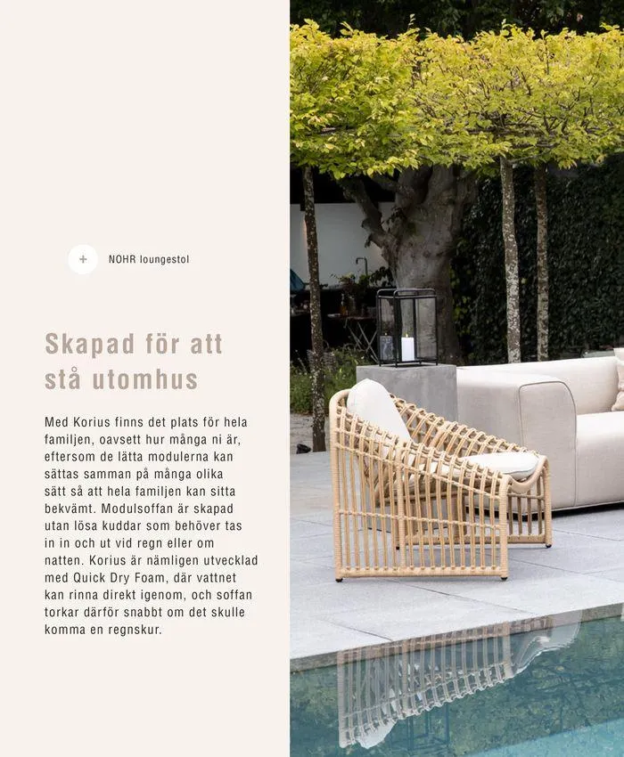 Trädgårdskatalog 2024 från 24 september till 31 december 2024 - Reklamblad sidor 8