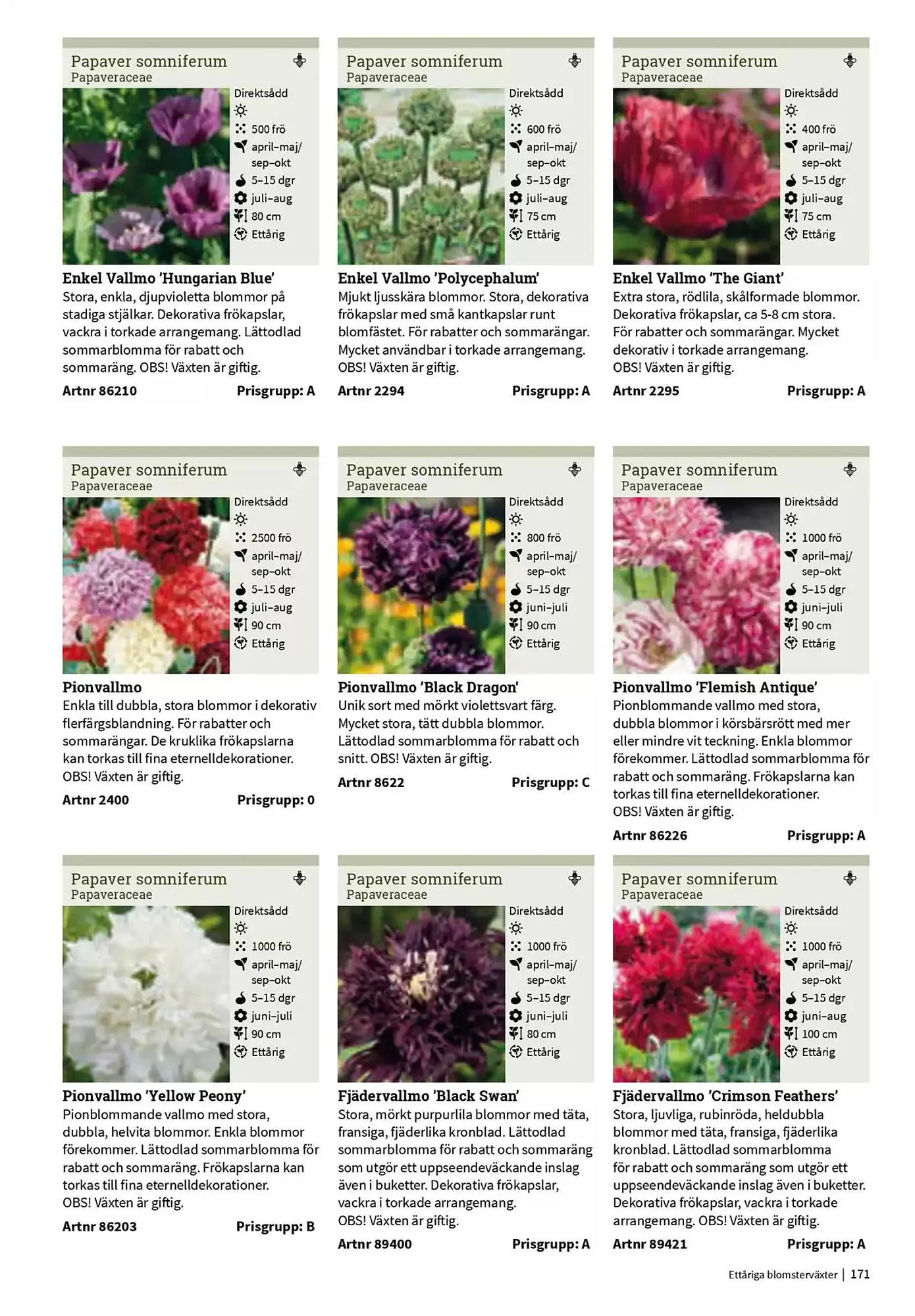 Impecta reklamblad från 23 januari till 31 december 2025 - Reklamblad sidor 171