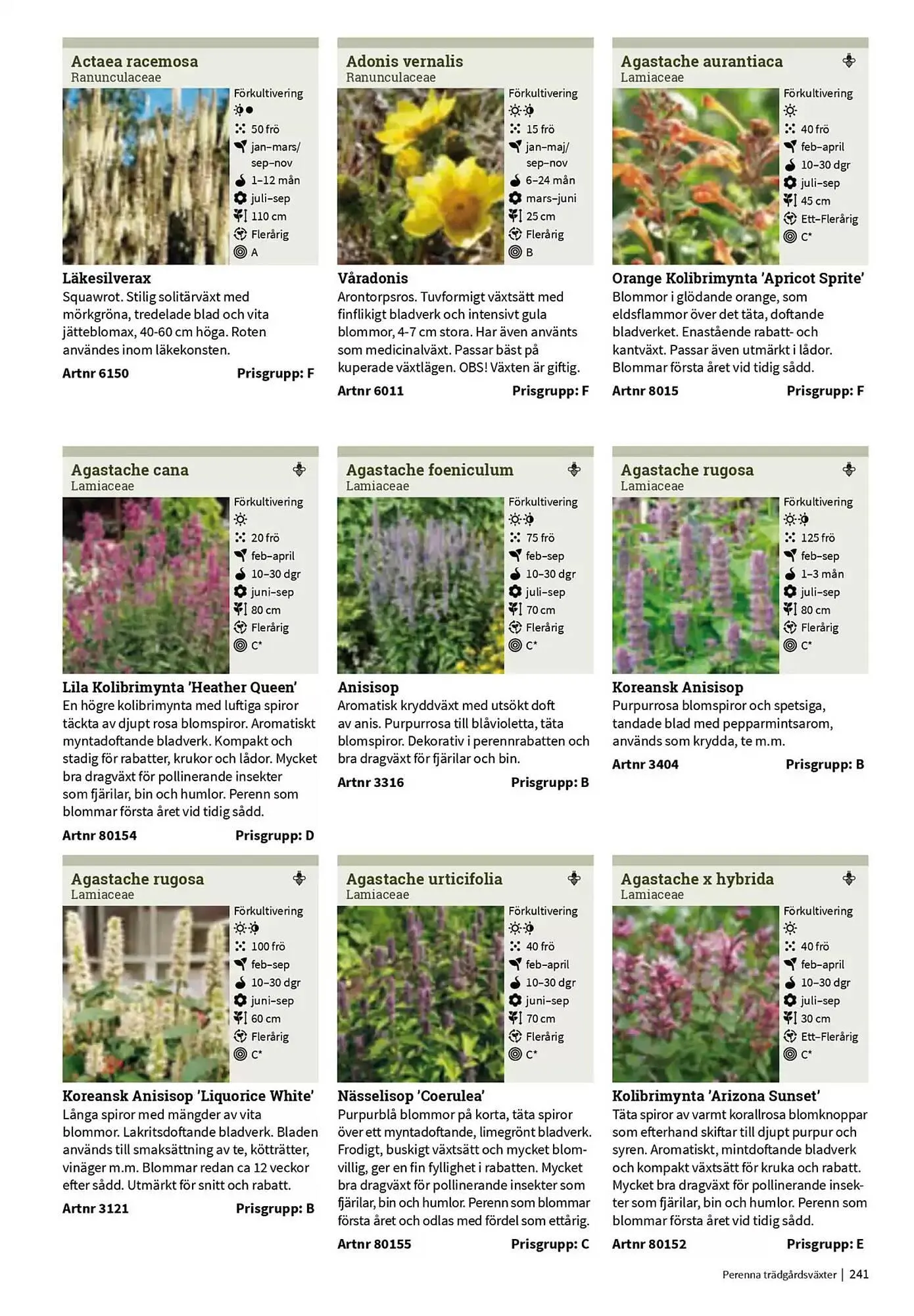 Impecta reklamblad från 23 januari till 31 december 2025 - Reklamblad sidor 241