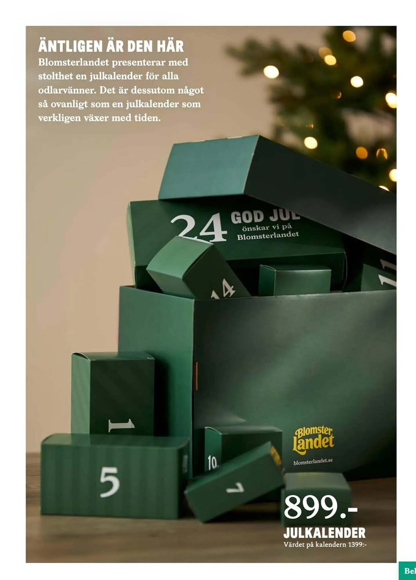 Blomsterlandet reklamblad från 20 november till 26 november 2023 - Reklamblad sidor 11