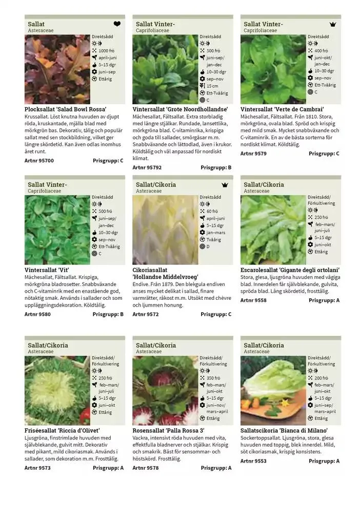 Frökatalog 2025! från 23 januari till 31 december 2025 - Reklamblad sidor 53