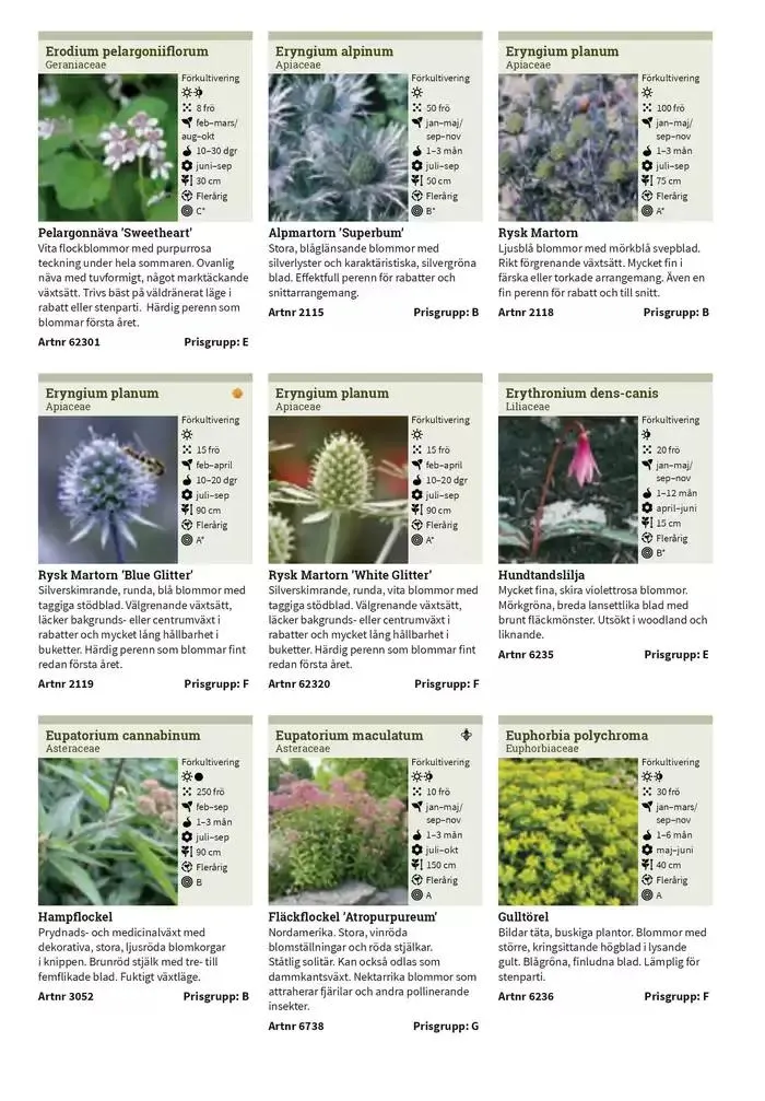 Frökatalog 2025! från 23 januari till 31 december 2025 - Reklamblad sidor 262