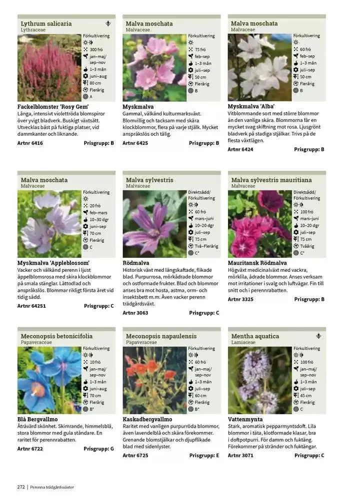 Frökatalog 2025! från 23 januari till 31 december 2025 - Reklamblad sidor 272