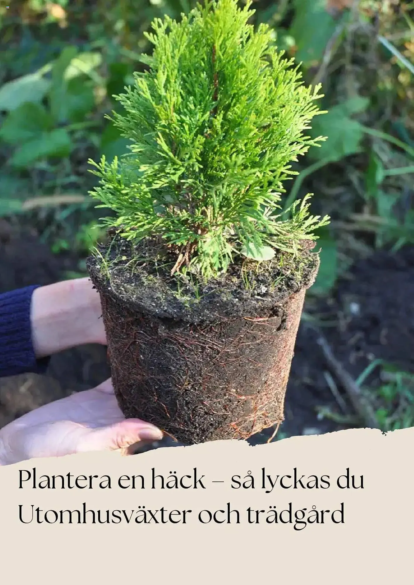 Plantagen reklamblad från 5 maj till 31 maj 2025 - Reklamblad sidor 9
