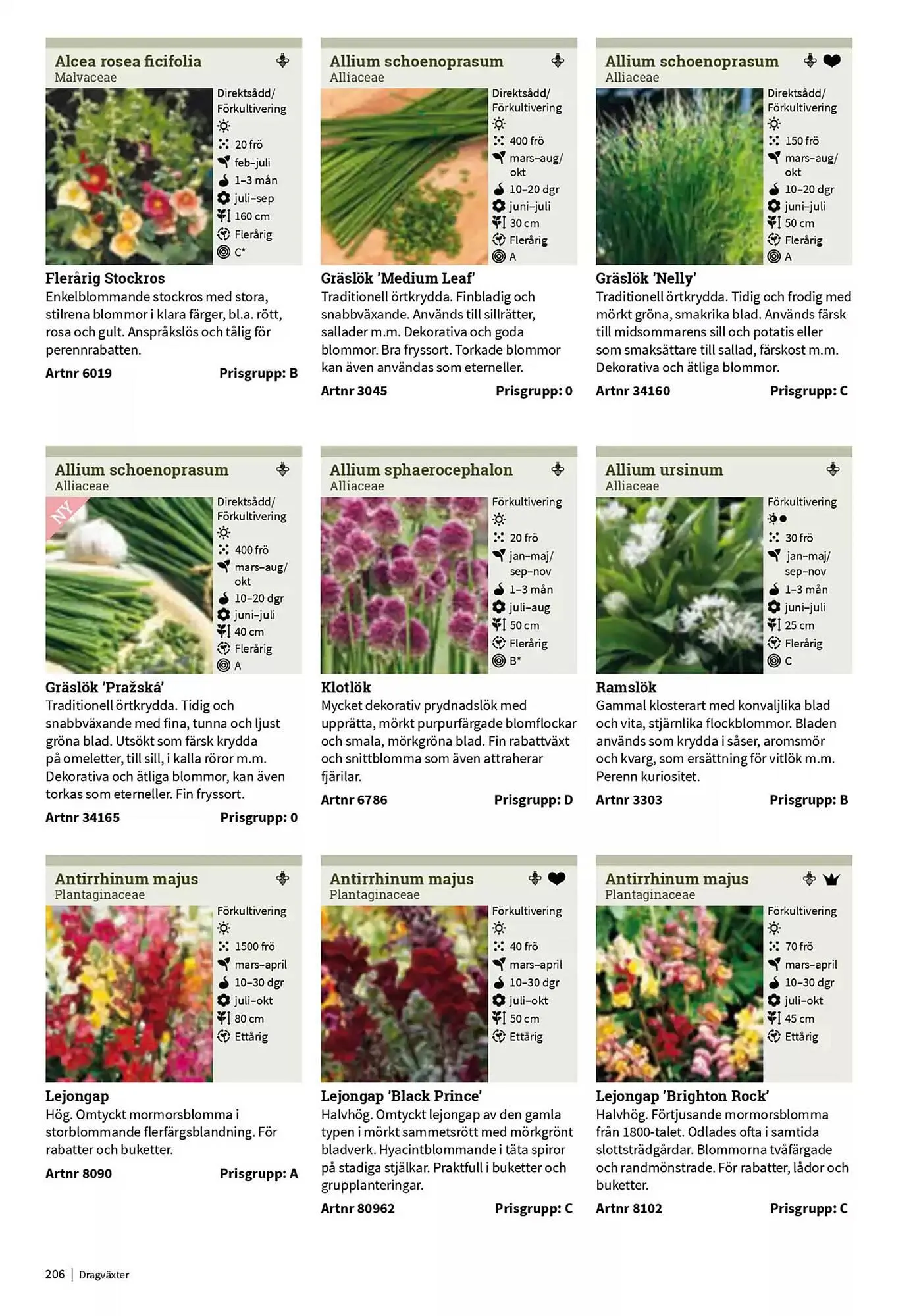 Impecta reklamblad från 23 januari till 31 december 2025 - Reklamblad sidor 206