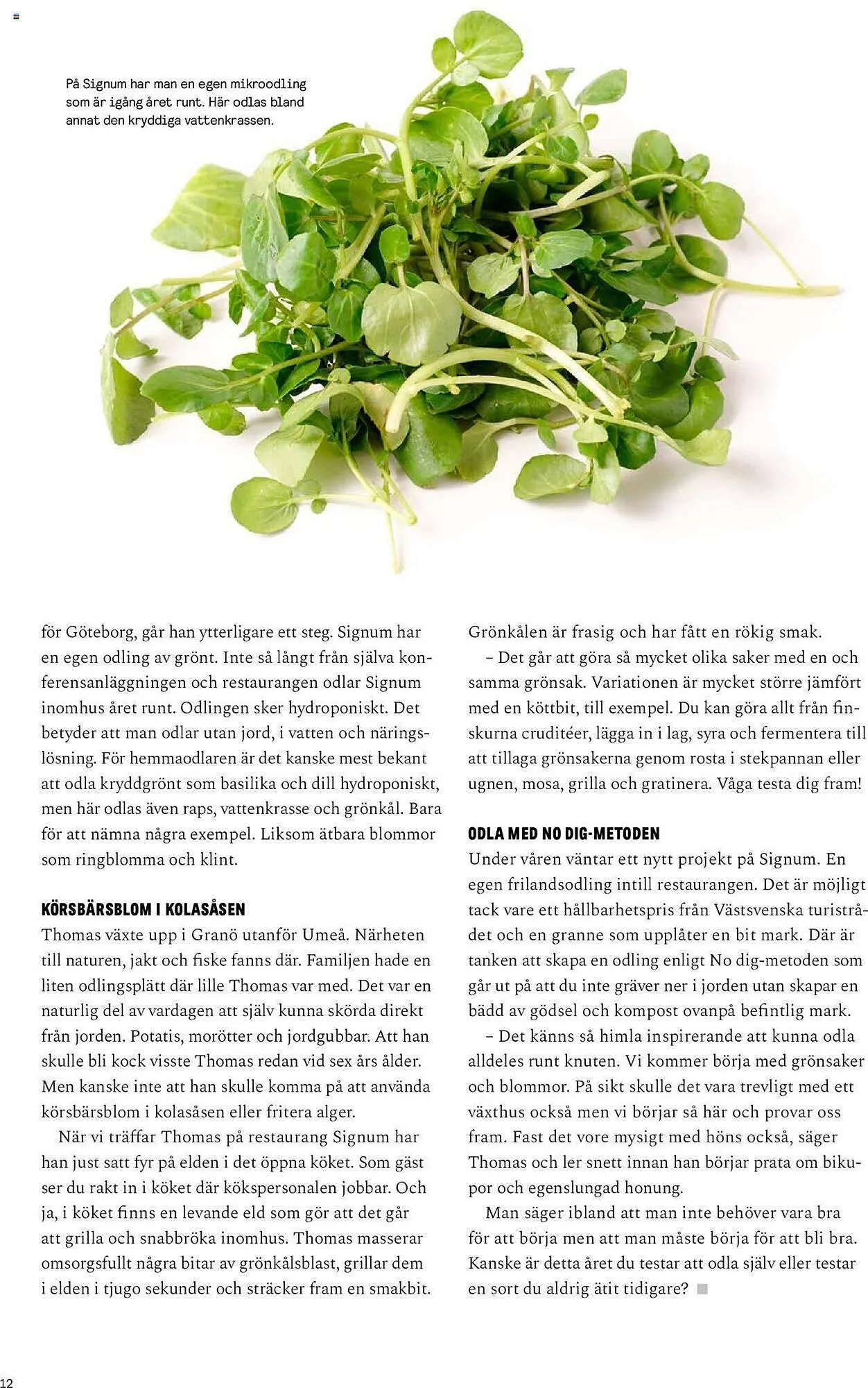 Blomsterlandet reklamblad från 13 maj till 26 maj 2024 - Reklamblad sidor 12