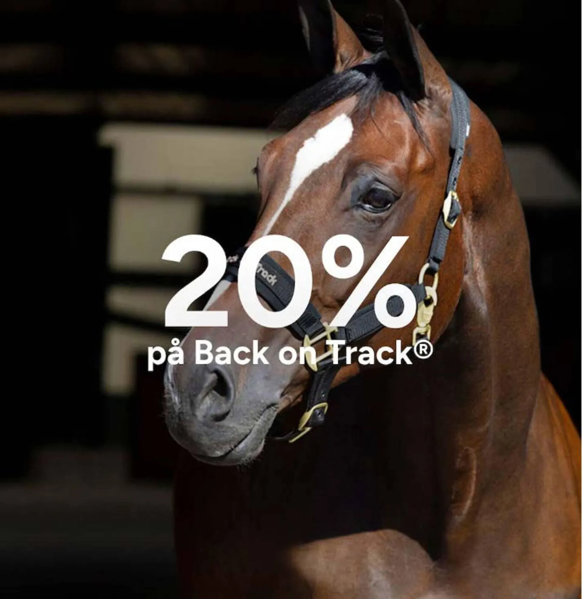 Hööks reklamblad från 7 april till 13 april 2026 - Reklamblad sidor 1