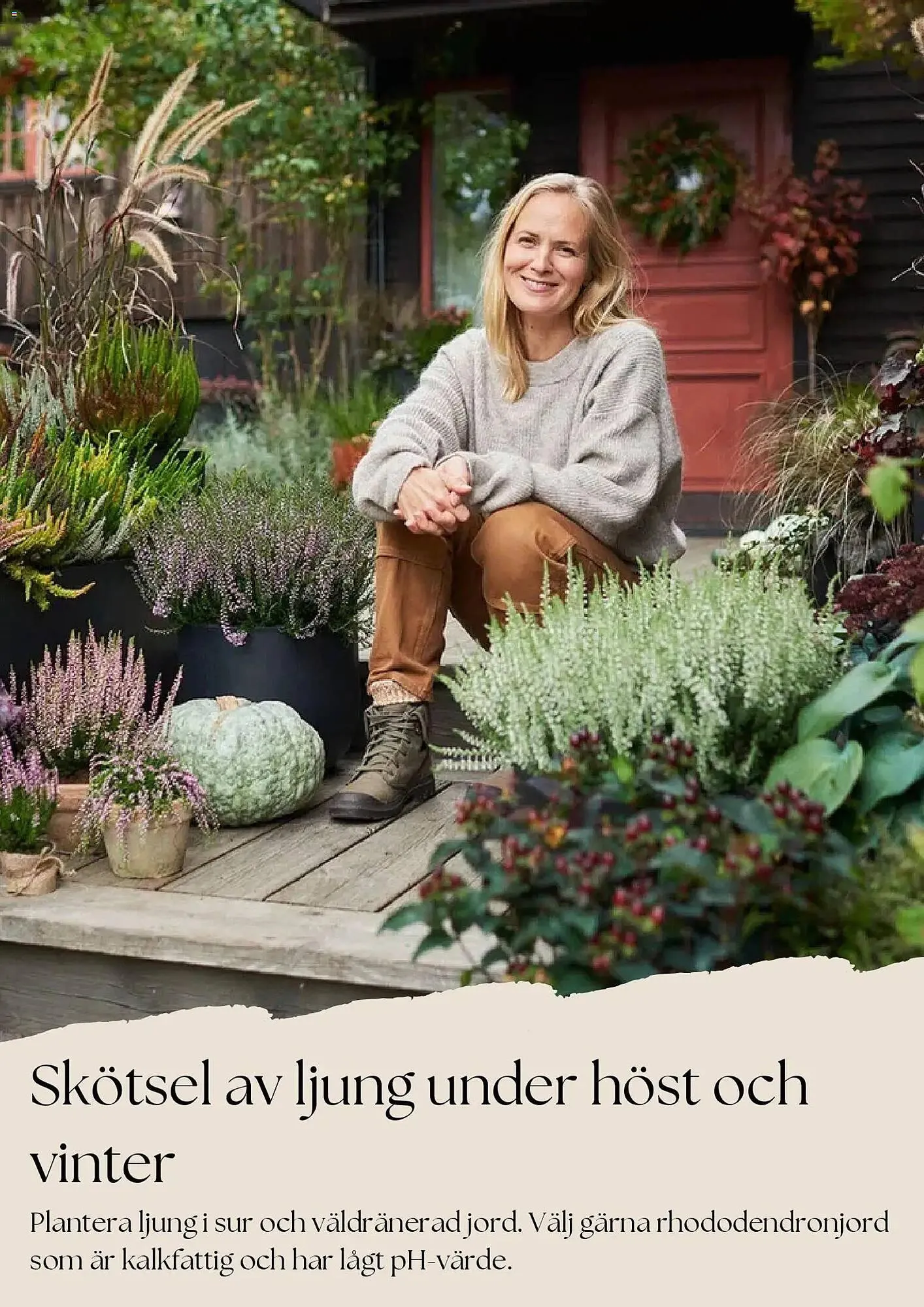 Plantagen annonsblad från 27 oktober till 26 november 2025 - Reklamblad sidor 3