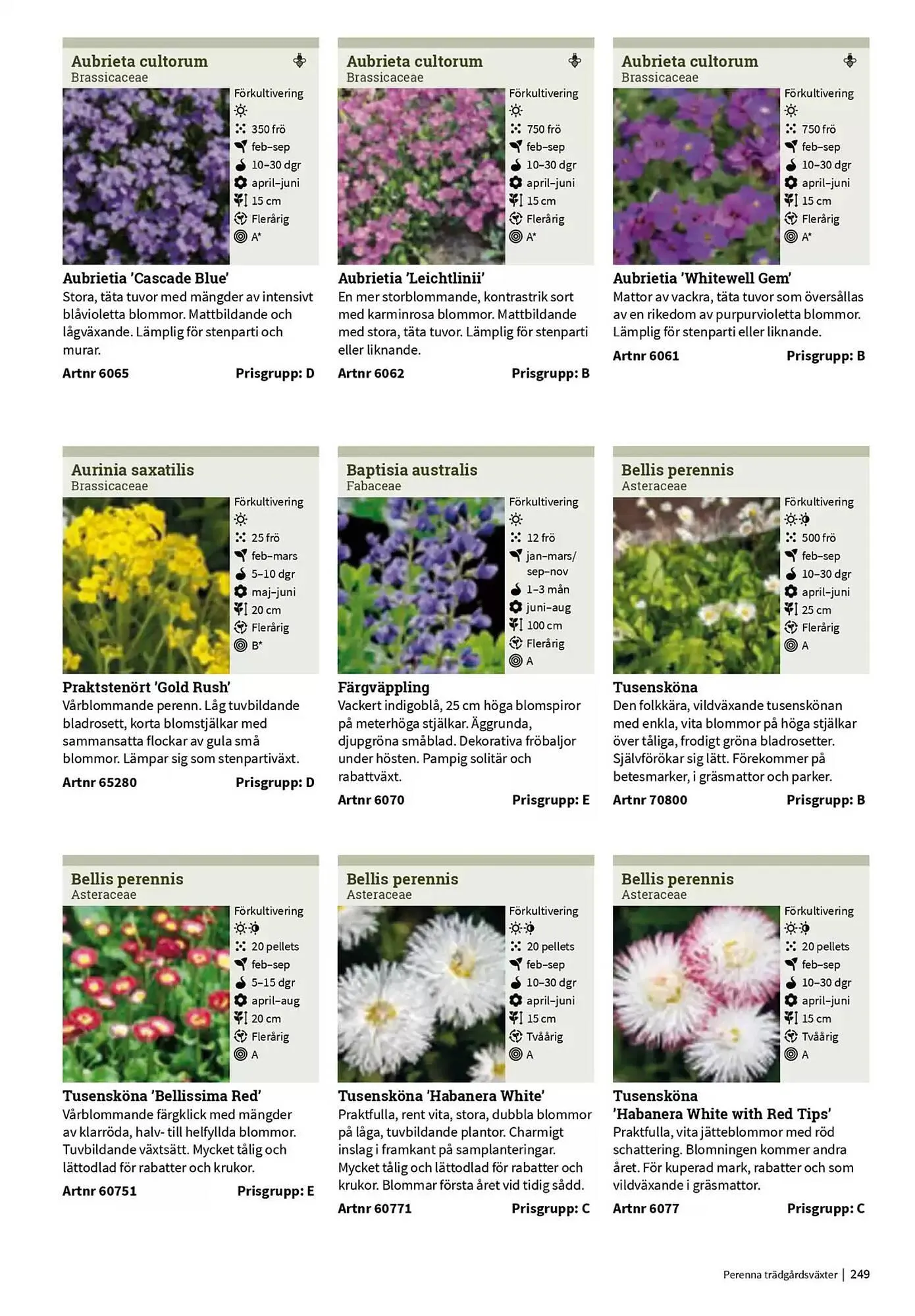 Impecta reklamblad från 23 januari till 31 december 2025 - Reklamblad sidor 249