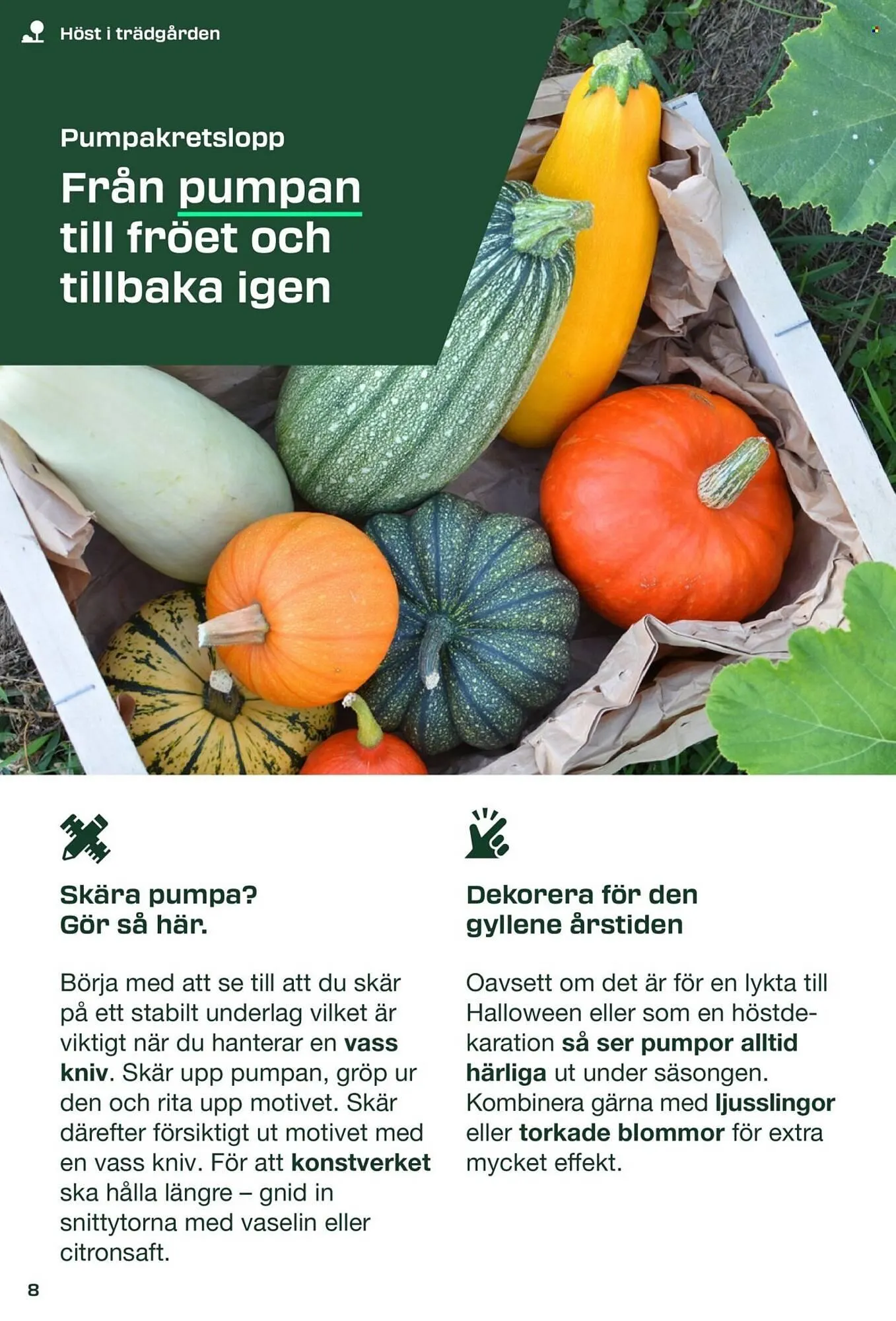 Lidl reklamblad från 31 augusti till 8 september 2025 - Reklamblad sidor 8