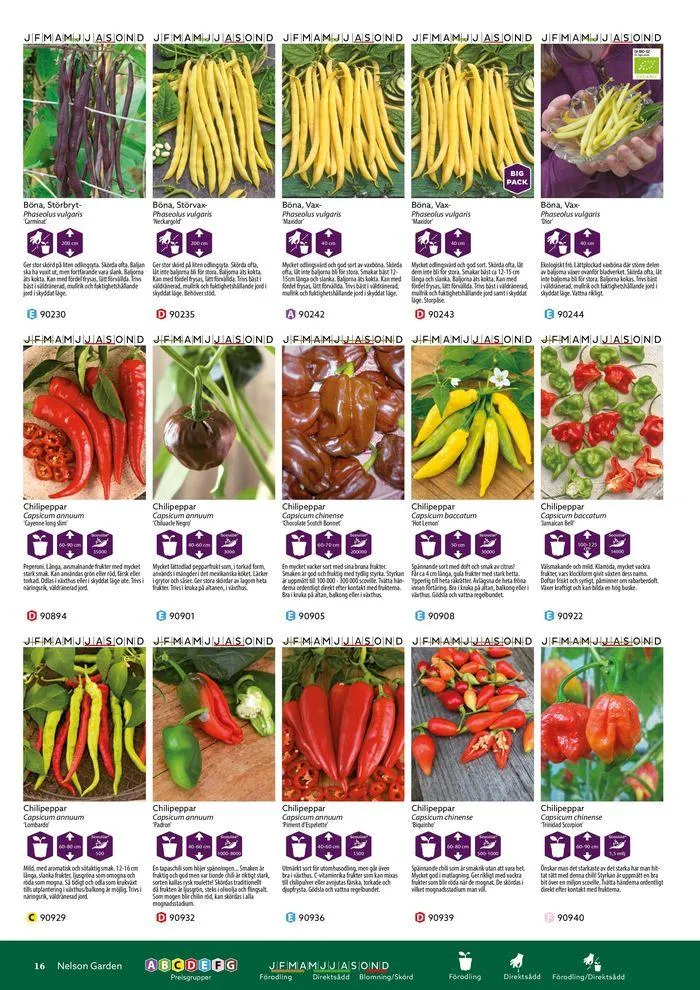 Nelson Gardens frökatalog 2024 är här! från 6 mars till 31 december 2024 - Reklamblad sidor 16