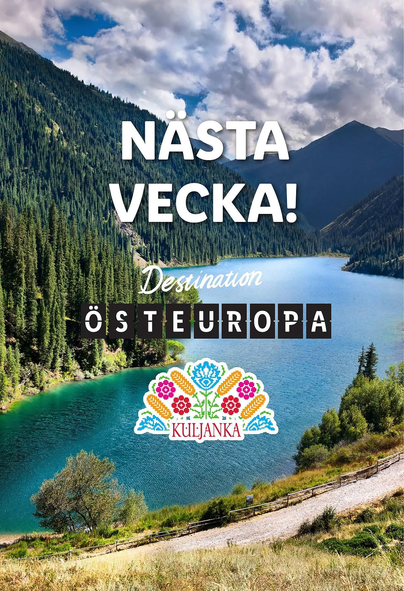 Lidl reklamblad från 25 september till 1 oktober 2023 - Reklamblad sidor 15