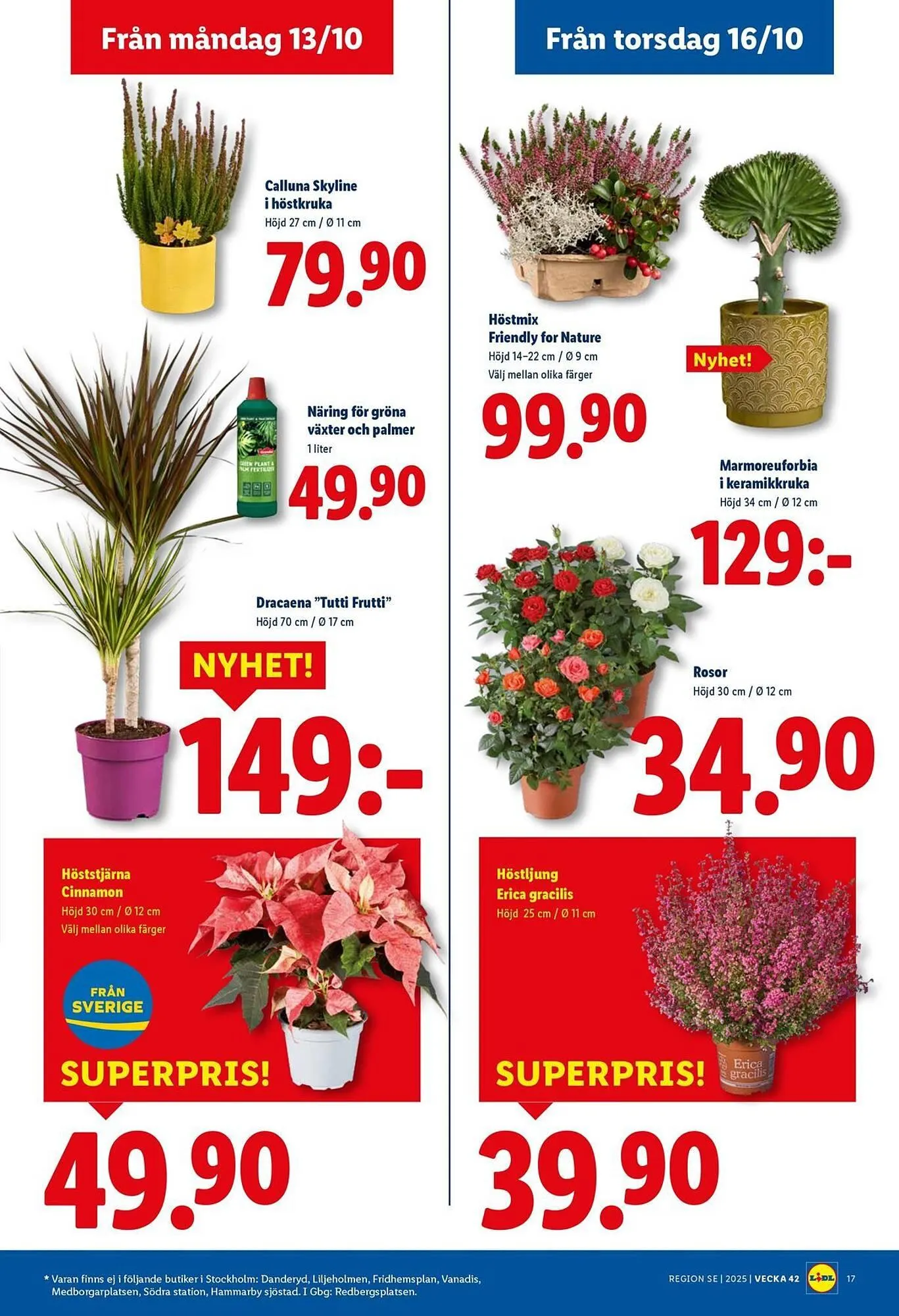 Lidl reklamblad från 13 oktober till 19 oktober 2025 - Reklamblad sidor 19