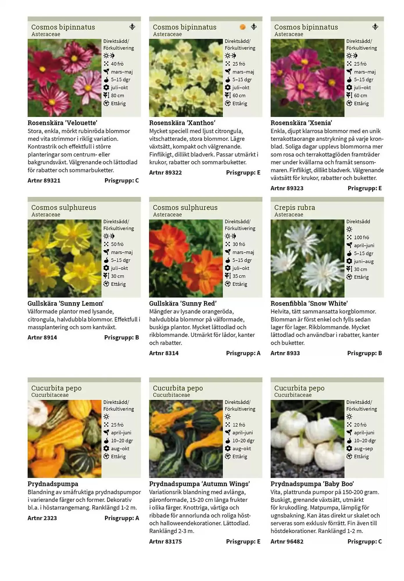 Impecta reklamblad från 23 januari till 31 december 2025 - Reklamblad sidor 131