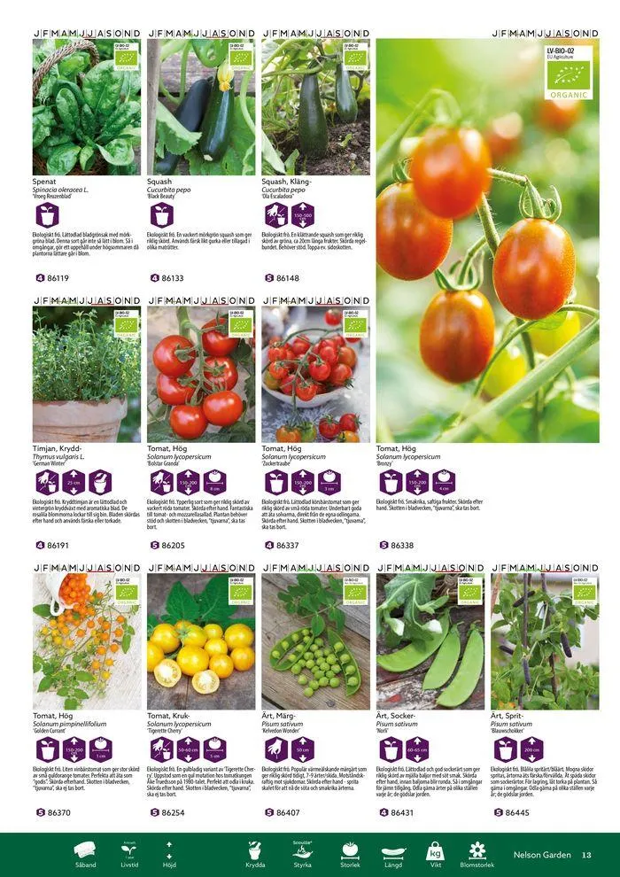 Nelson Gardens frökatalog 2024 är här! från 6 mars till 31 december 2024 - Reklamblad sidor 13