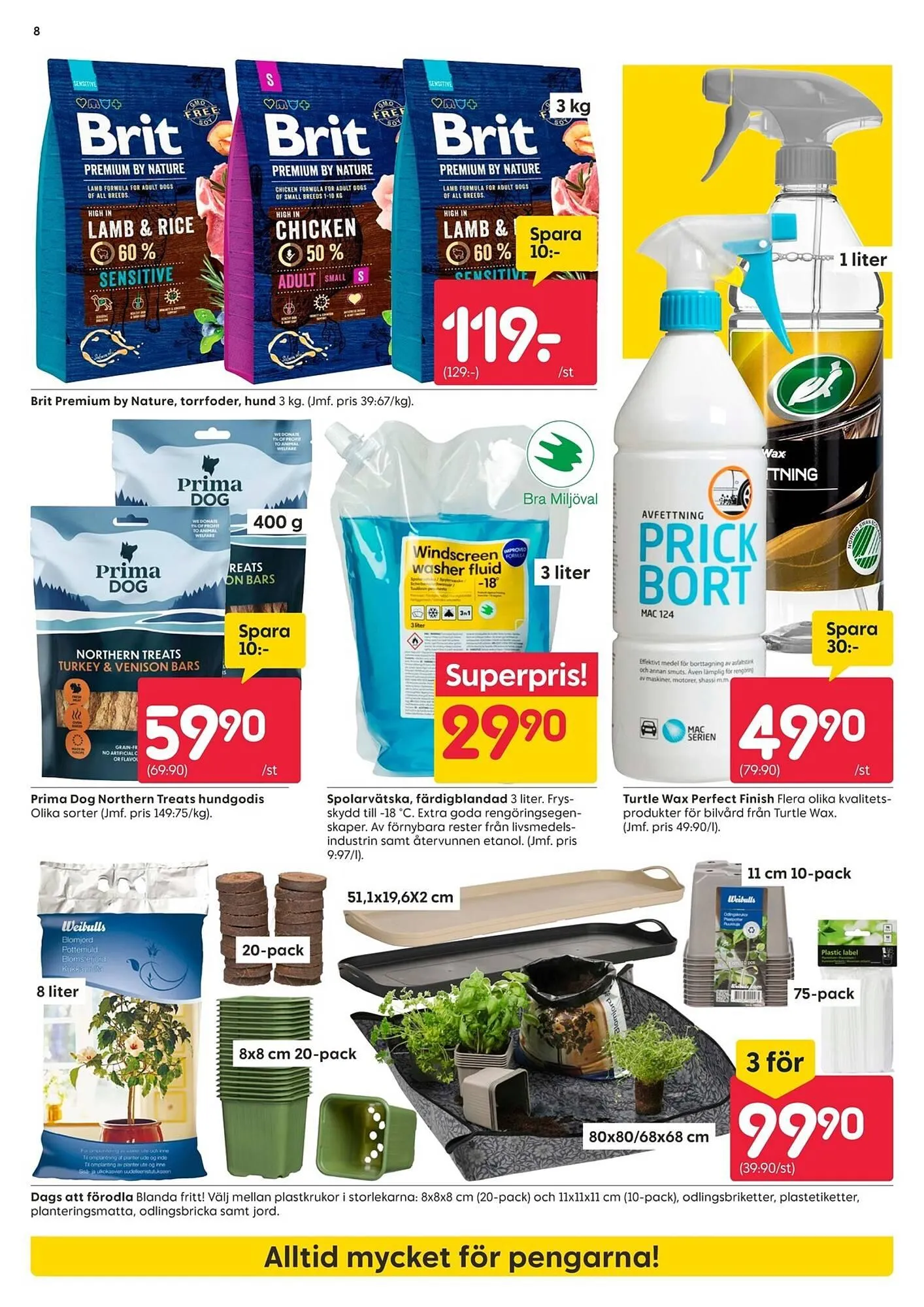 Rusta reklamblad från 26 januari till 1 februari 2026 - Reklamblad sidor 8