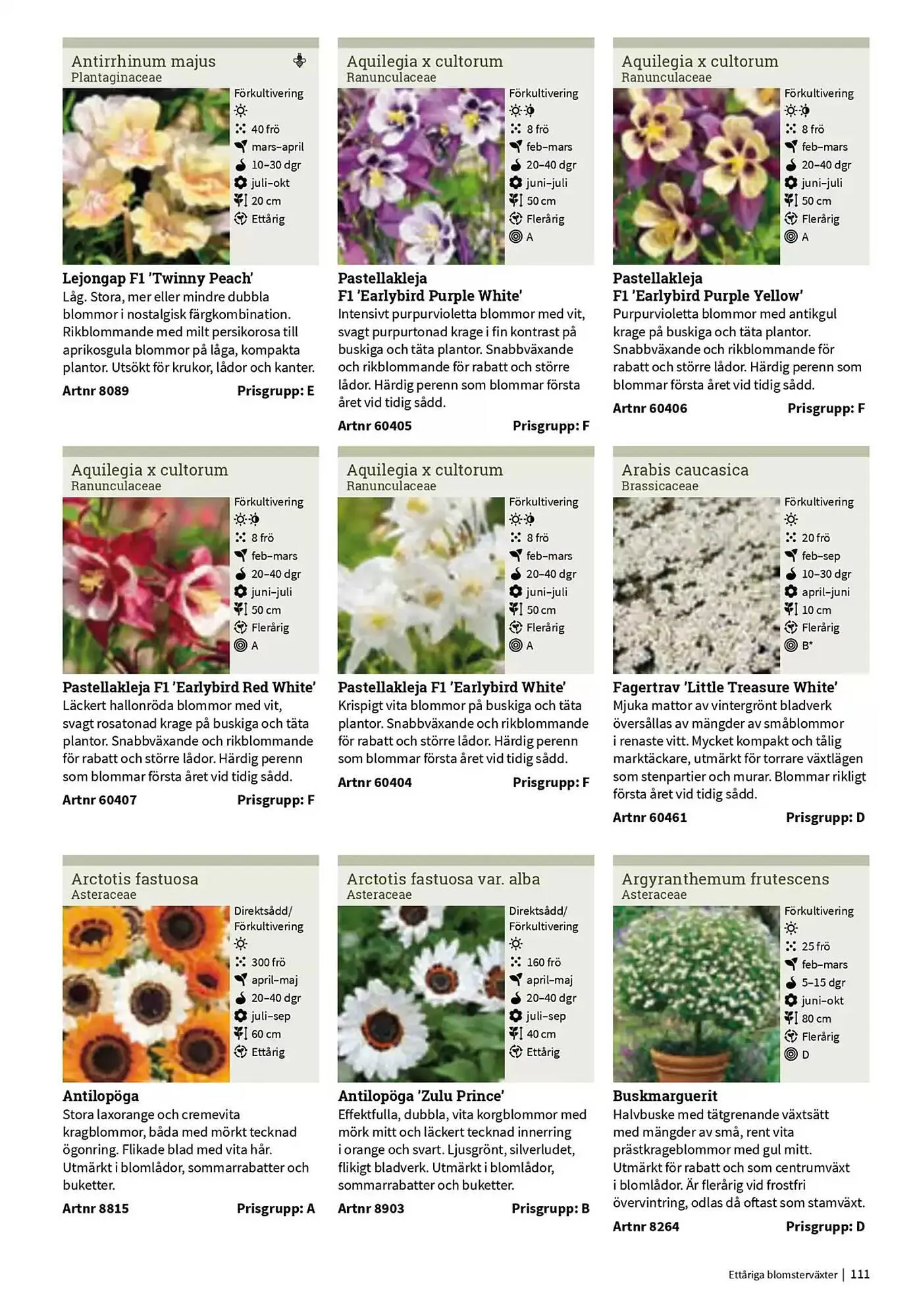 Impecta reklamblad från 23 januari till 31 december 2025 - Reklamblad sidor 111