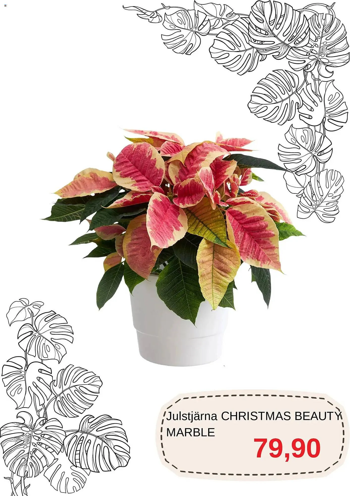 Blomsterlandet reklamblad från 1 december till 31 december 2025 - Reklamblad sidor 6