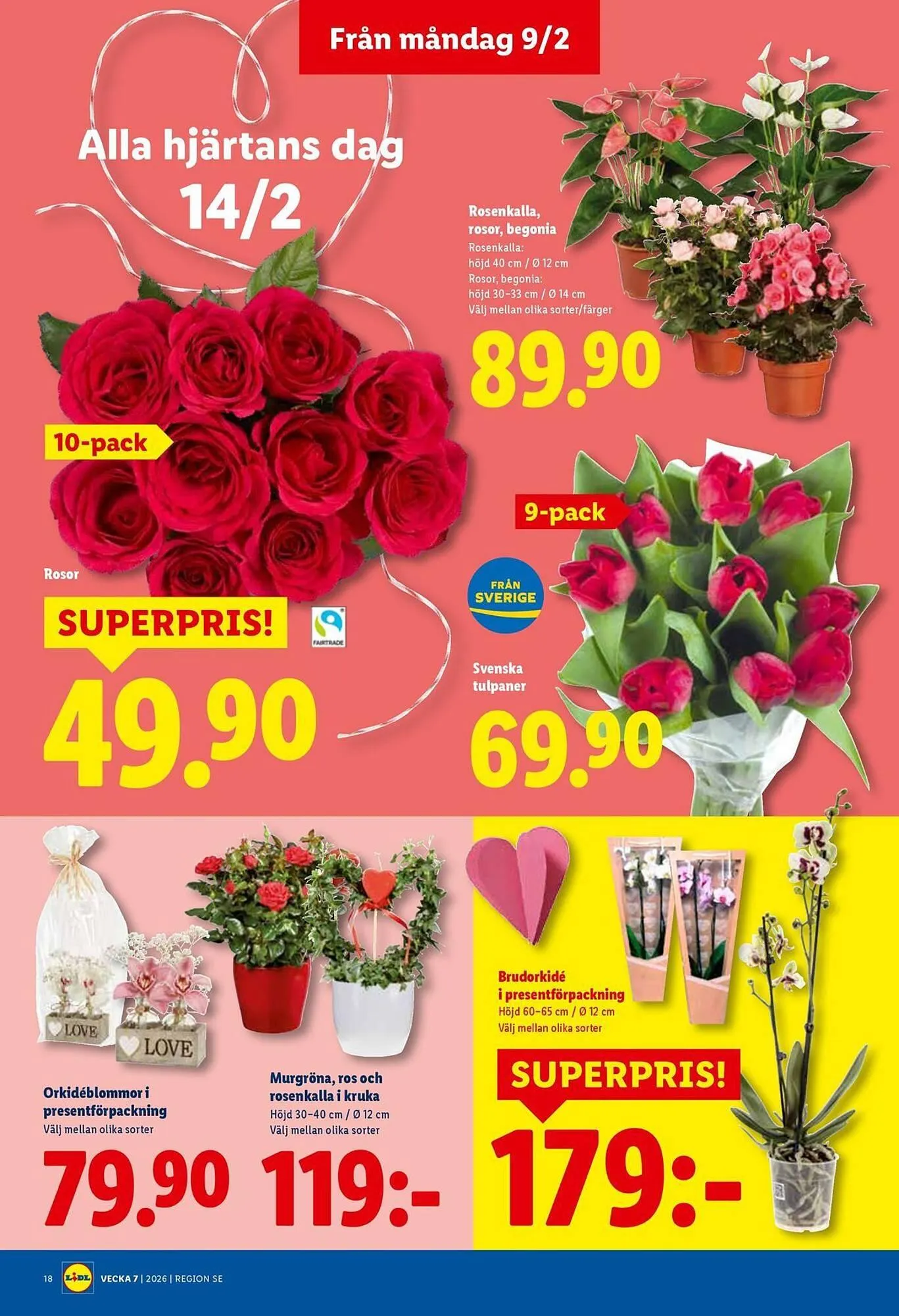Lidl reklamblad från 9 februari till 15 februari 2026 - Reklamblad sidor 21