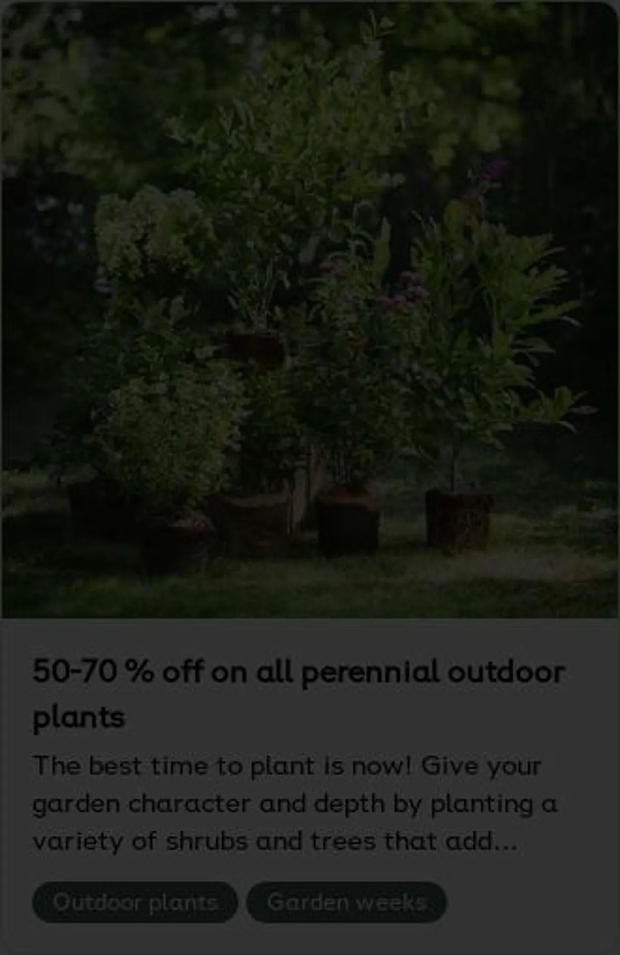 Plantagen från 6 oktober till 15 oktober 2025 - Reklamblad sidor 10