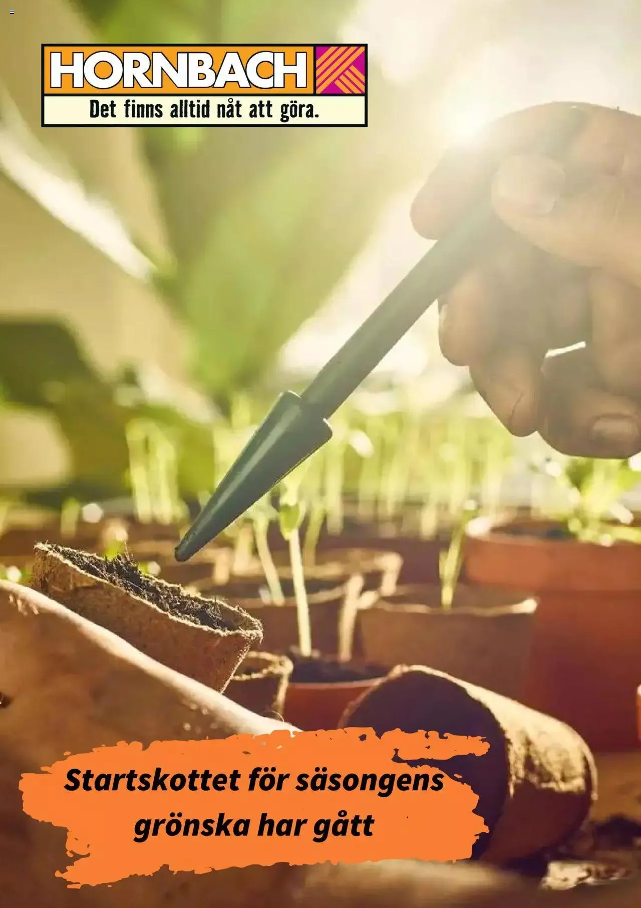 Hornbach - erbjudanden från 25 januari till 31 januari 2024 - Reklamblad sidor