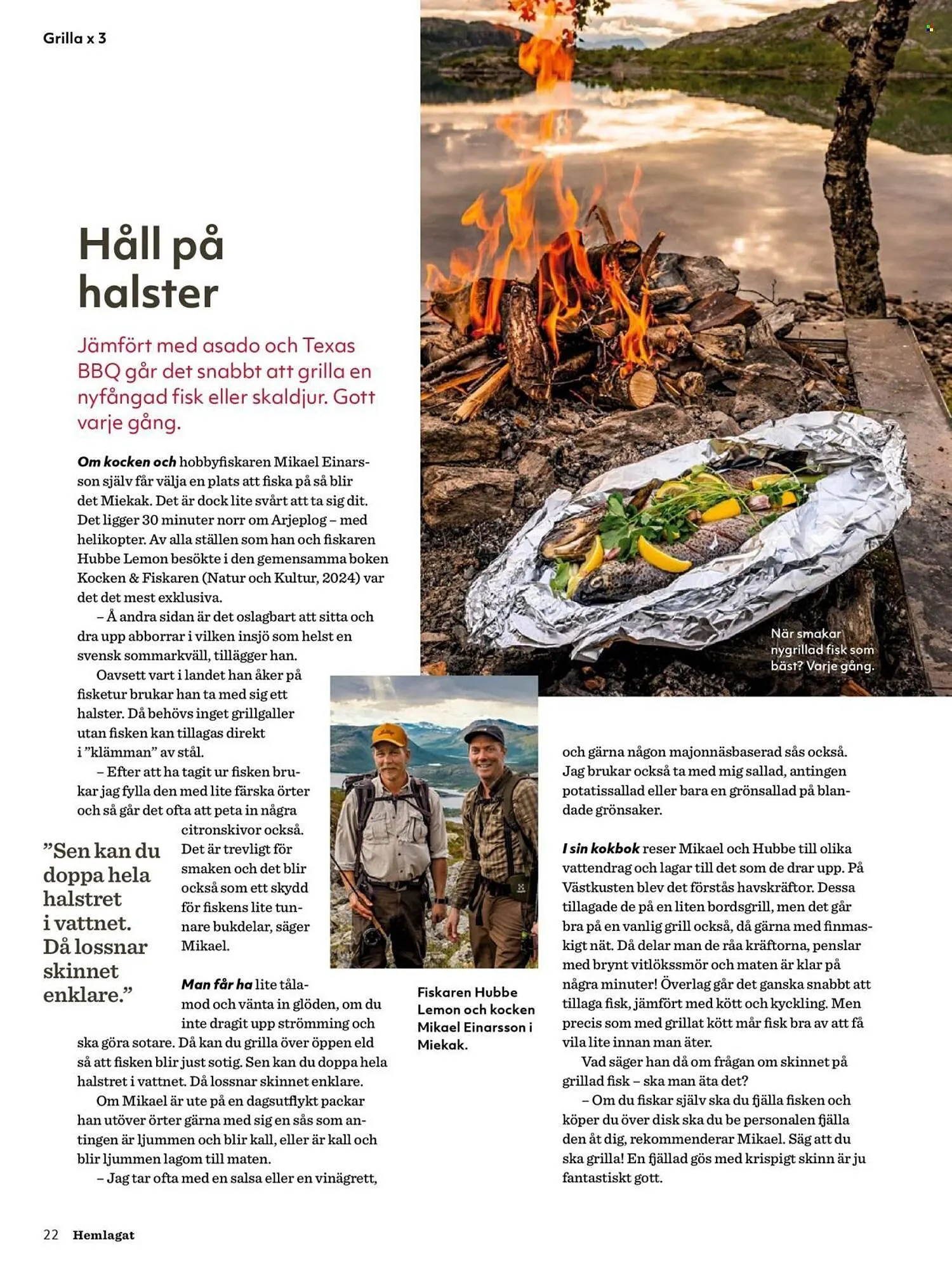 Hemköp reklamblad från 1 juli till 30 september 2025 - Reklamblad sidor 22